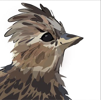 user avatar image for MB