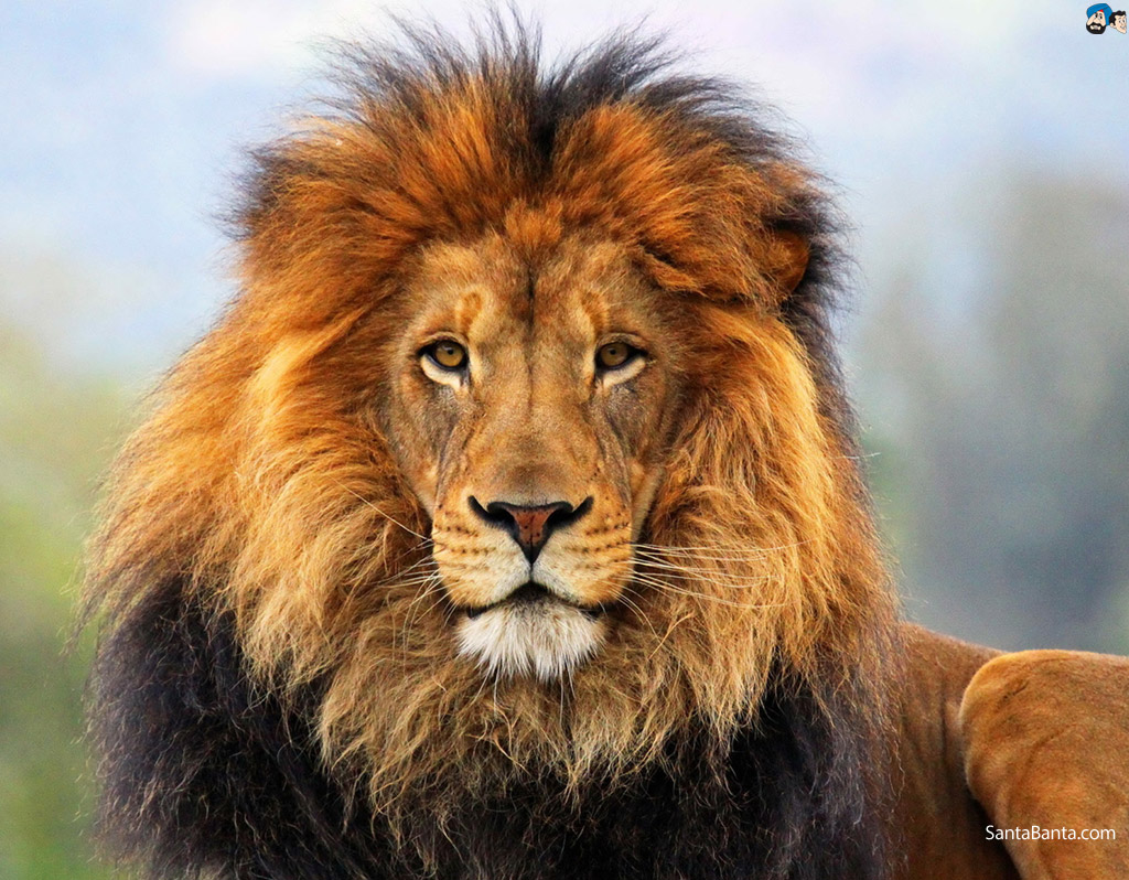 user avatar image for Elliott