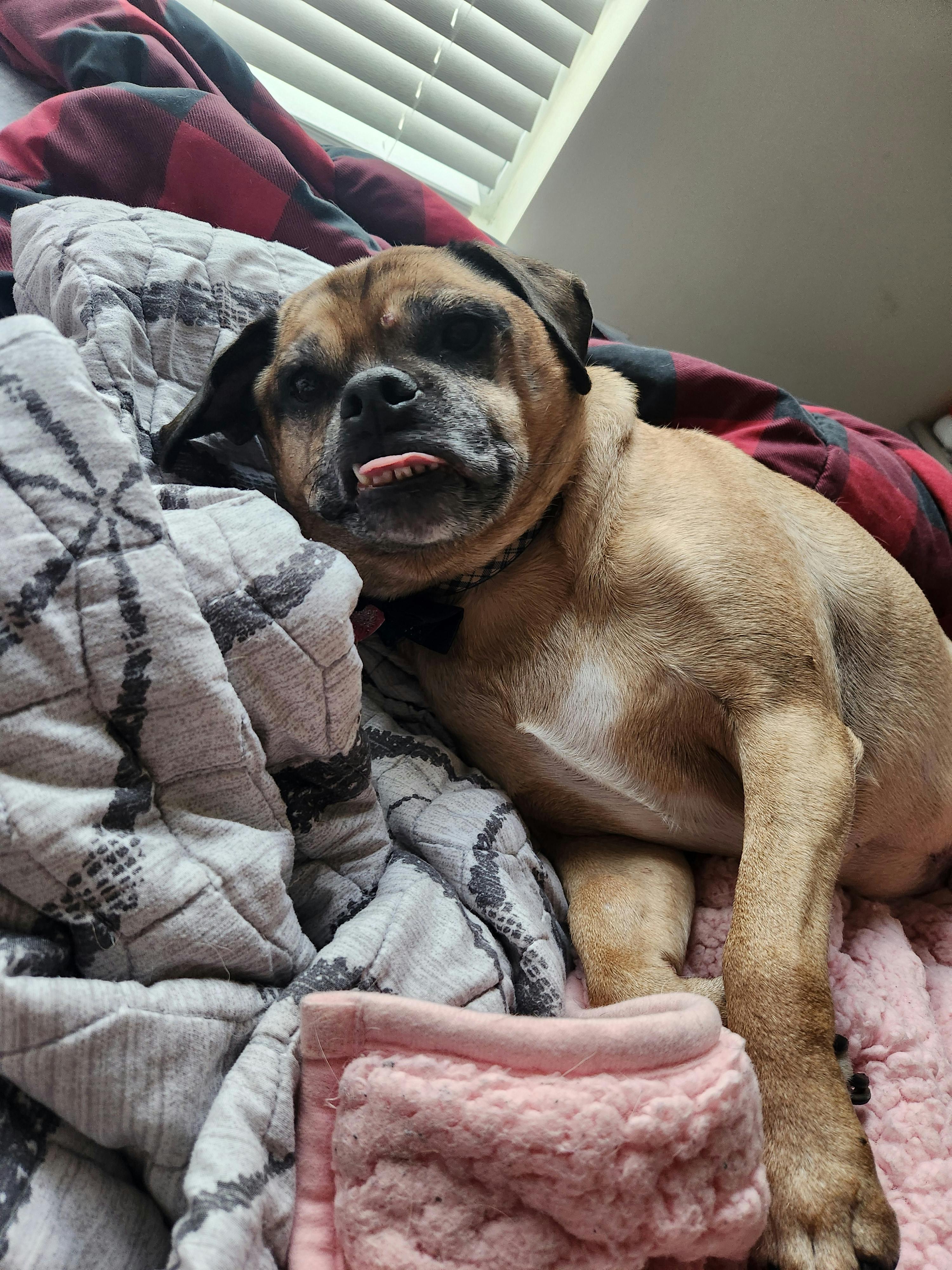 user avatar image for Jojo Elliot