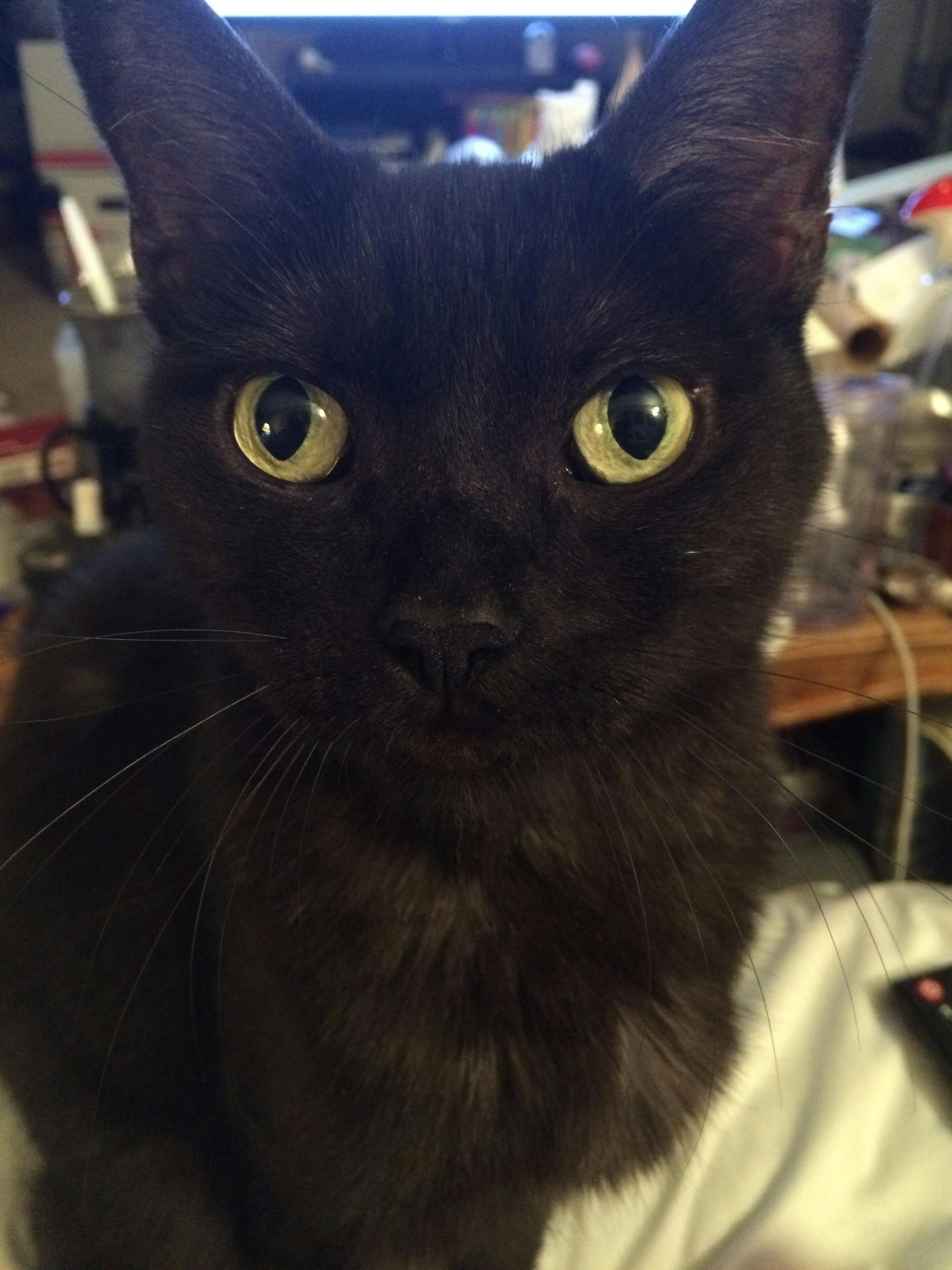 user avatar image for Anita Olin