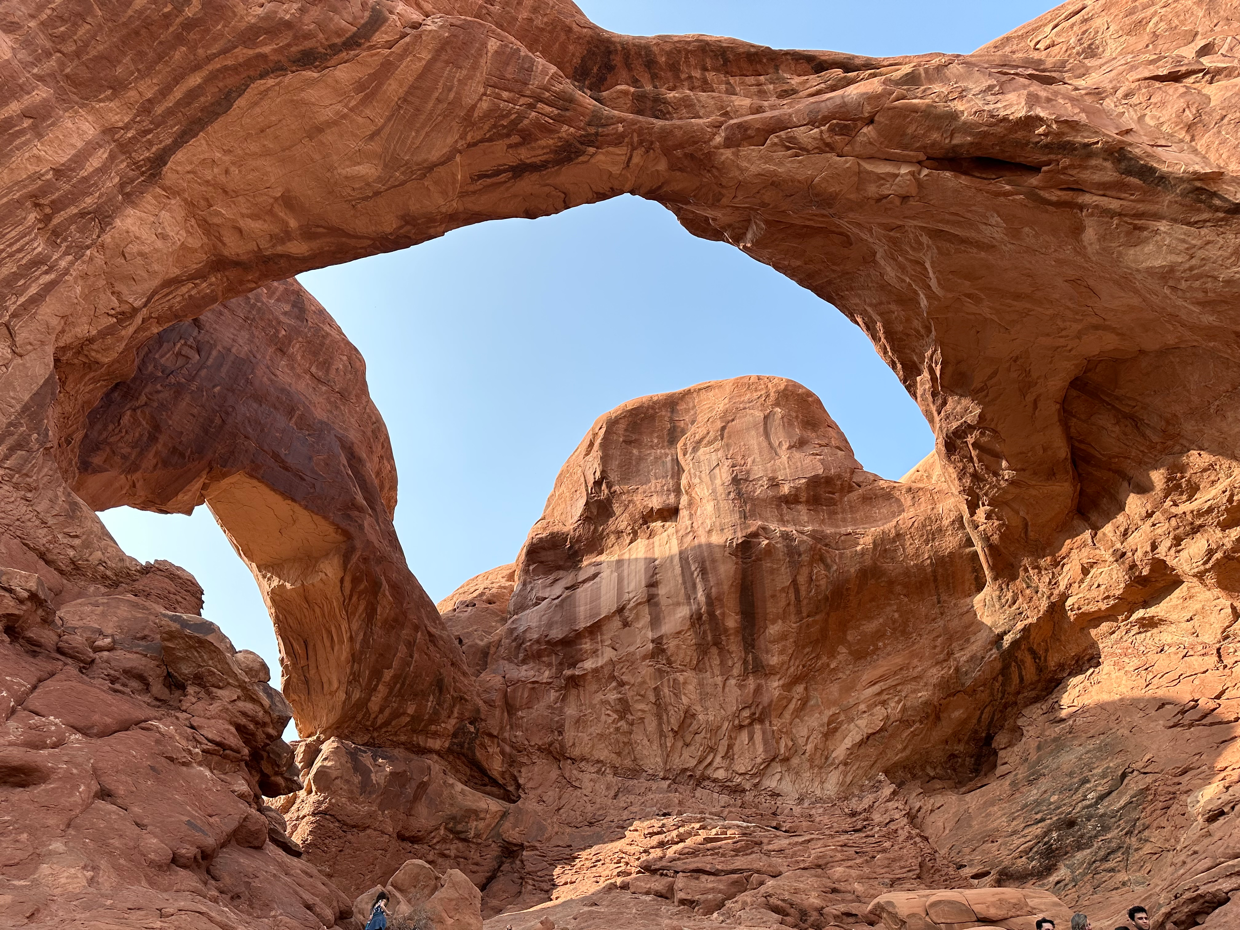 user avatar image for Holly Wellington