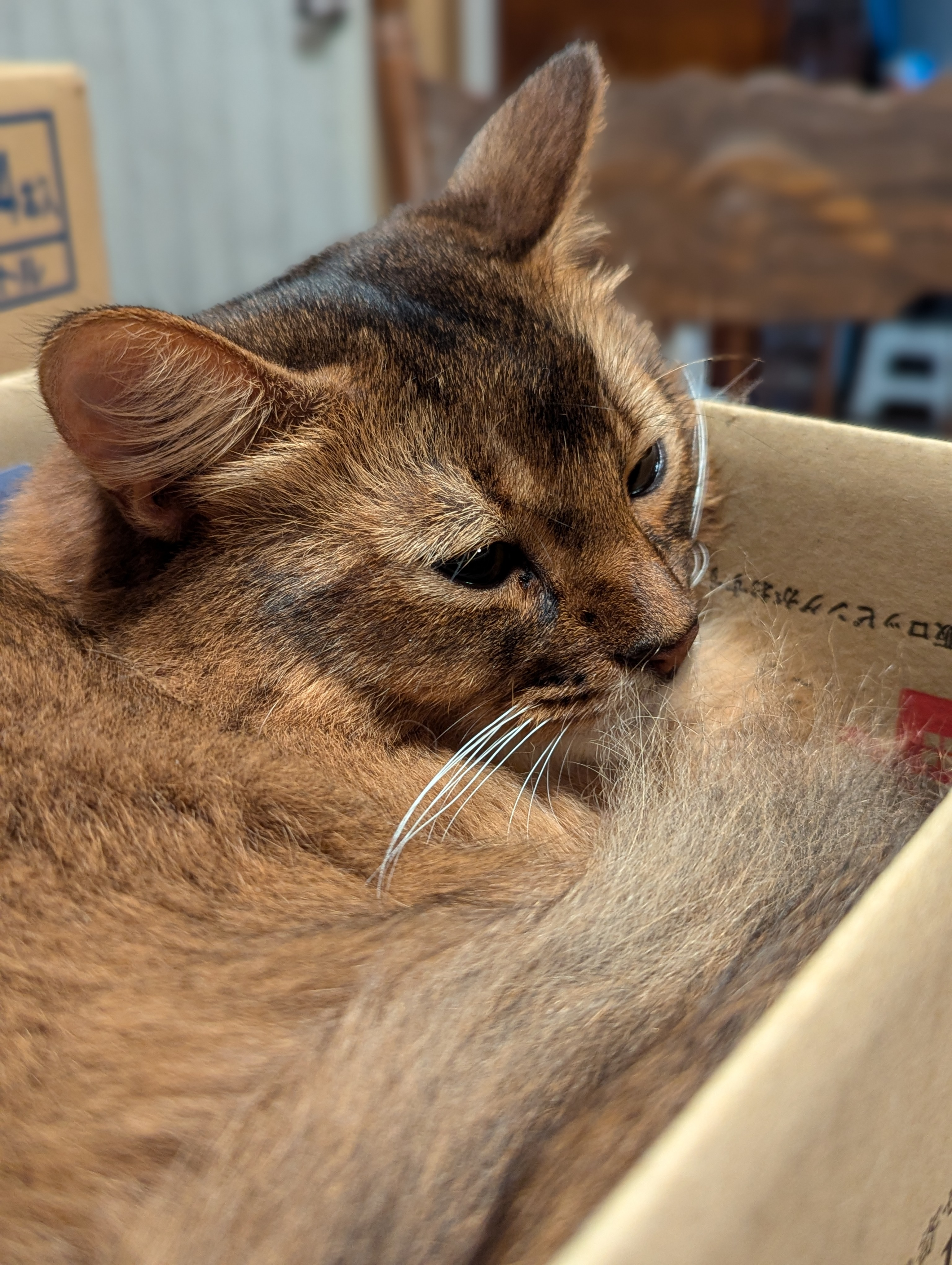 user avatar image for LordPumpkin