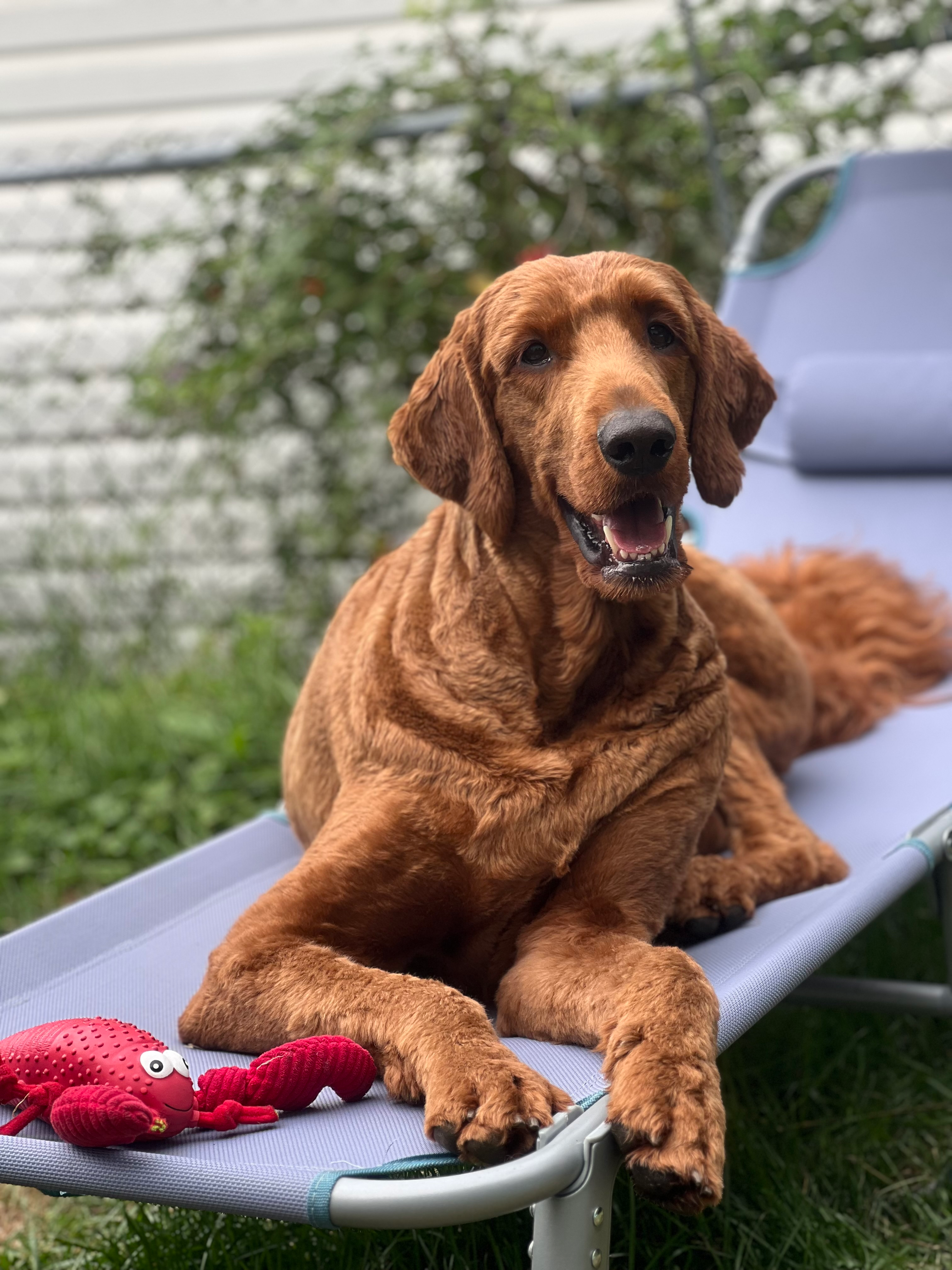 user avatar image for Scotals 