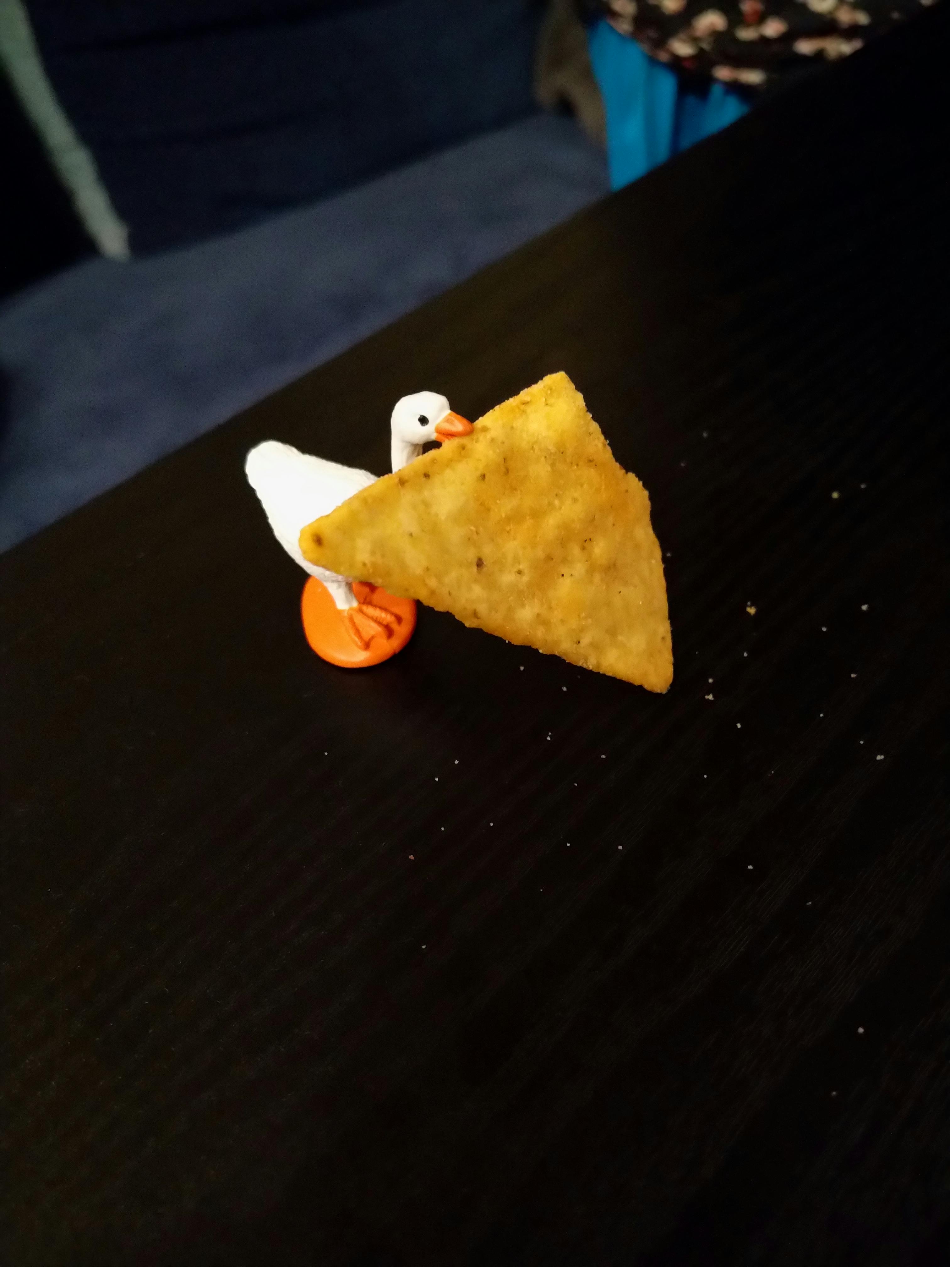 user avatar image for WabbitTwacks