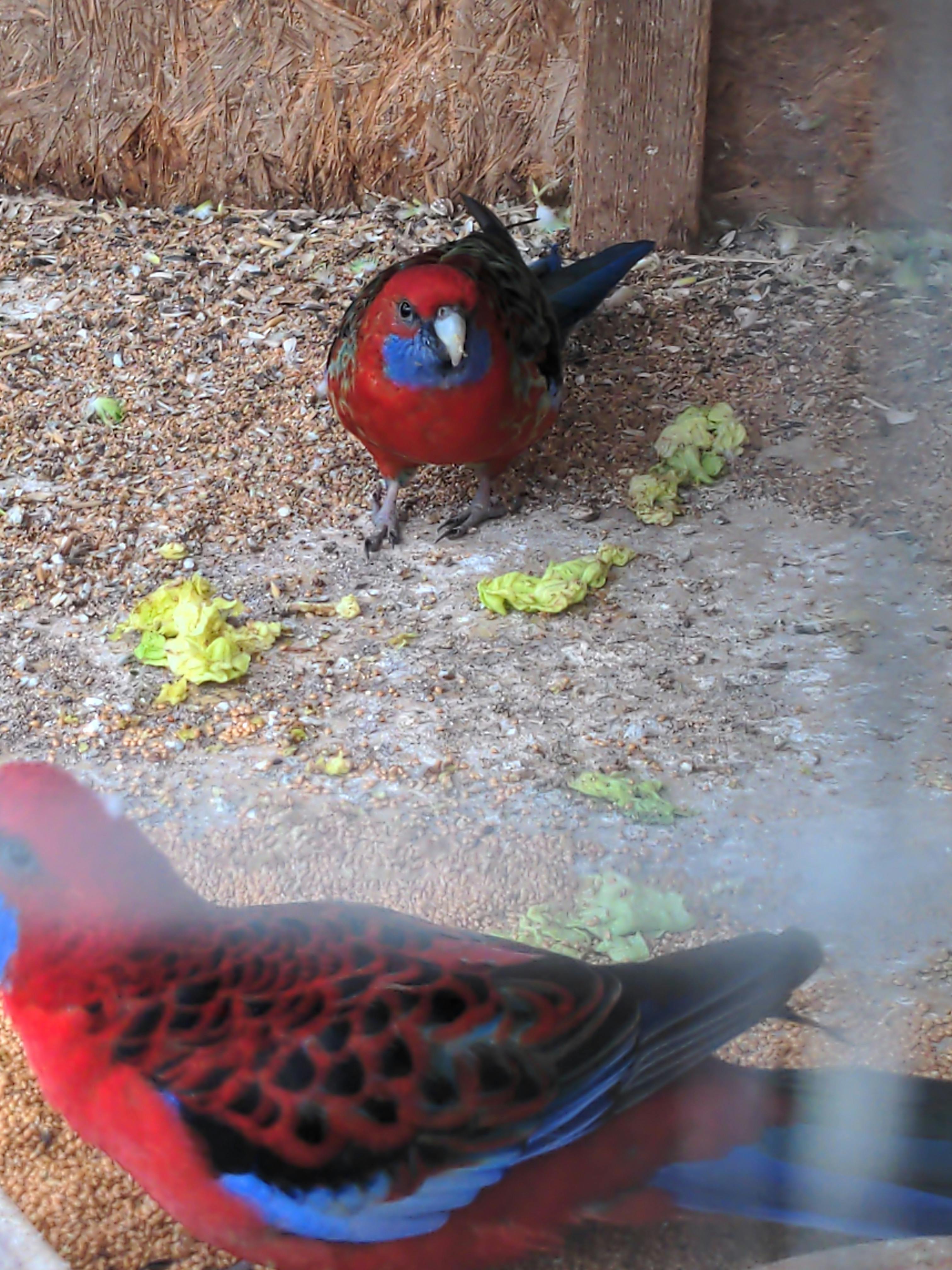 user avatar image for Cizinec