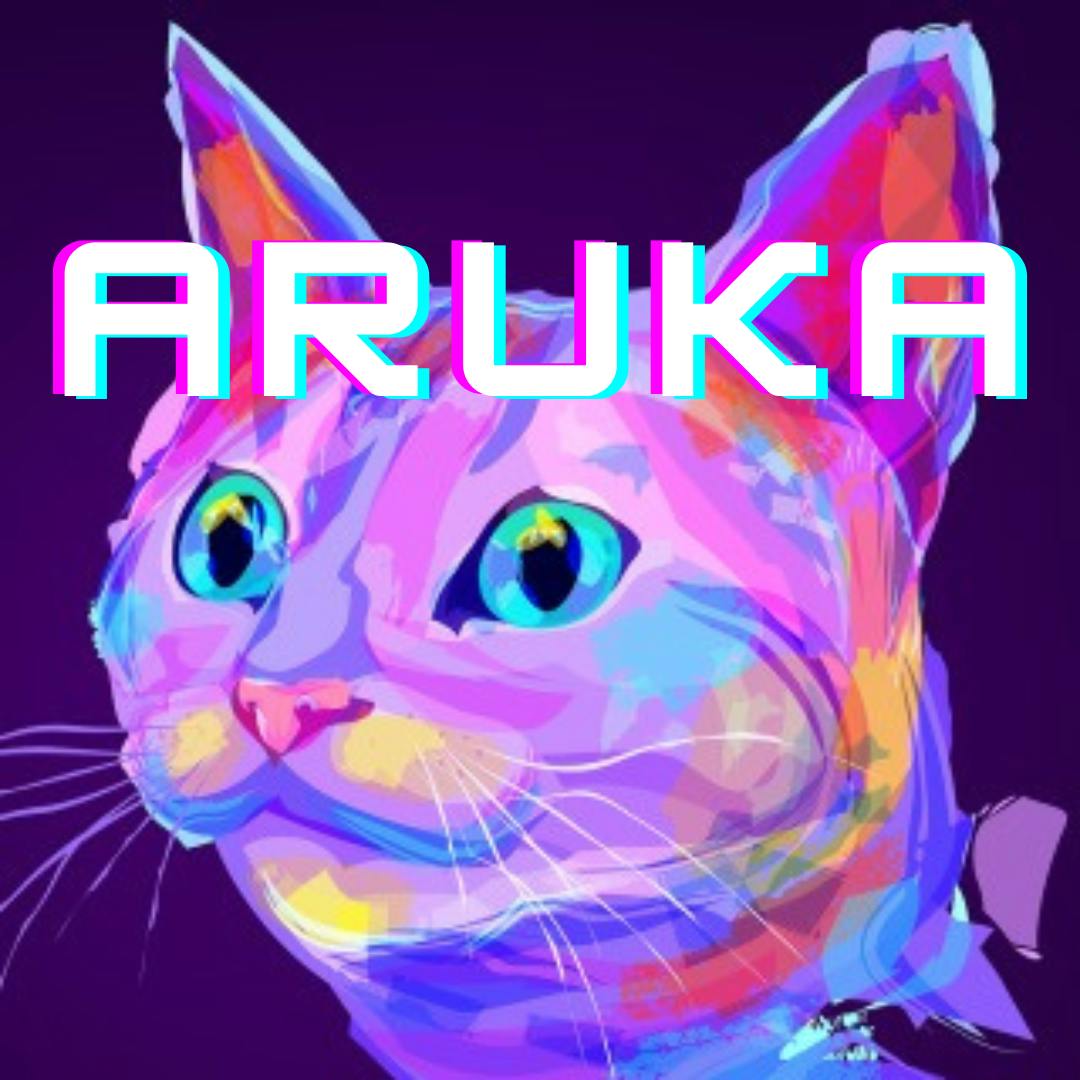 user avatar image for Aruka