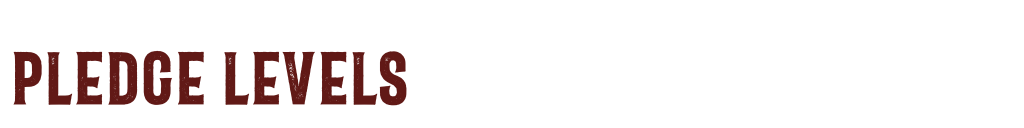 A header reading: Pledge Levels
