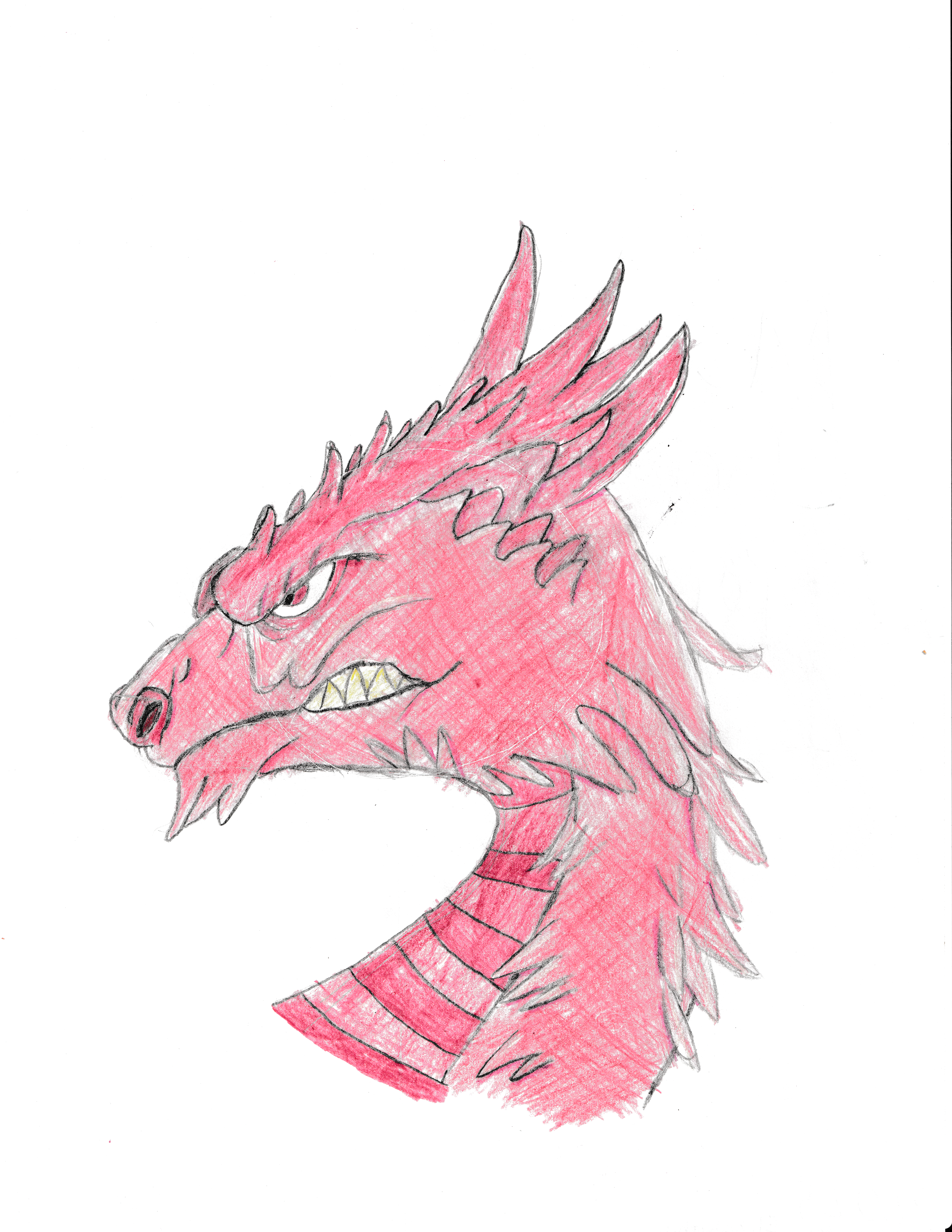 user avatar image for ParPar