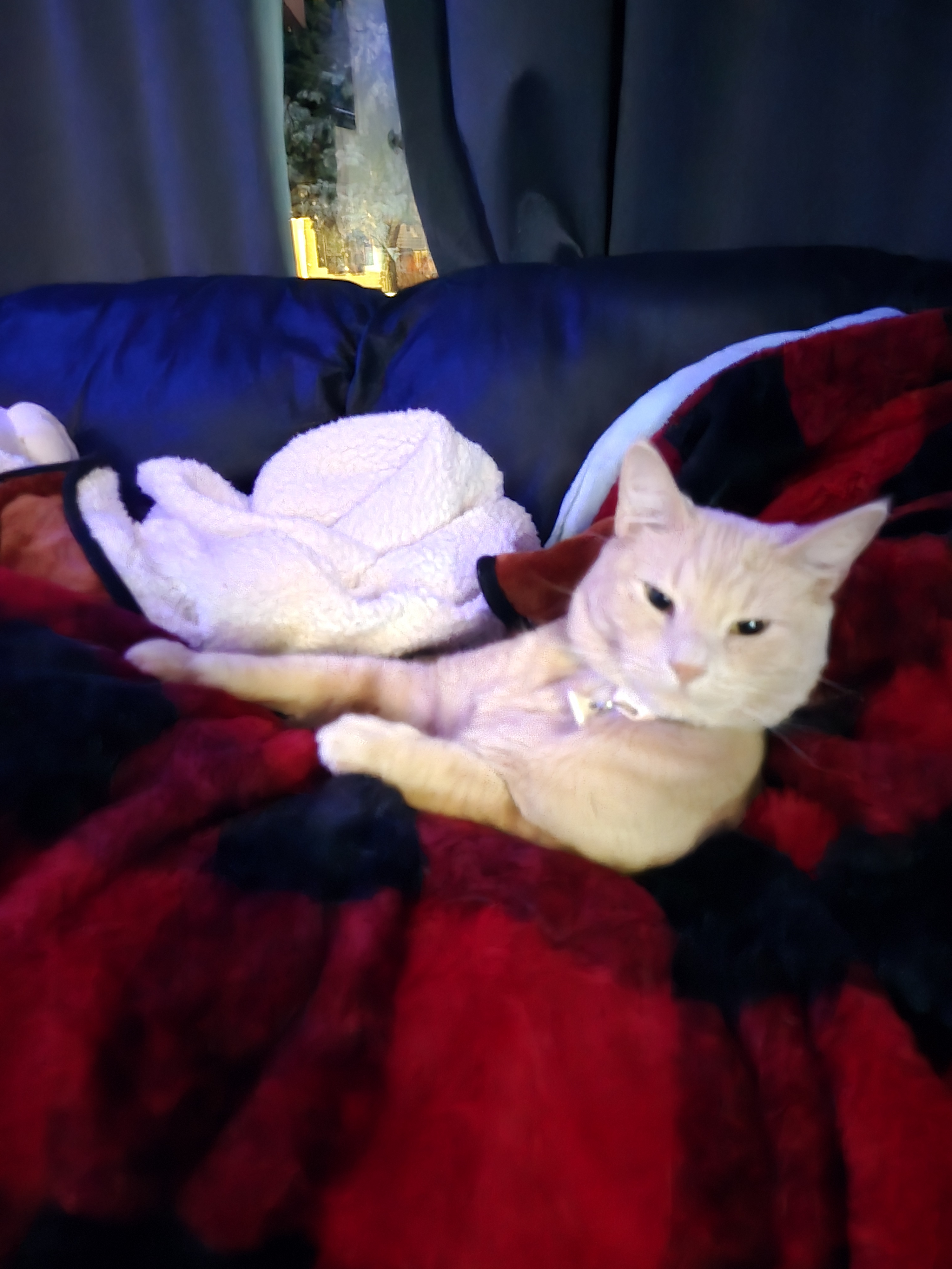 user avatar image for Jordon