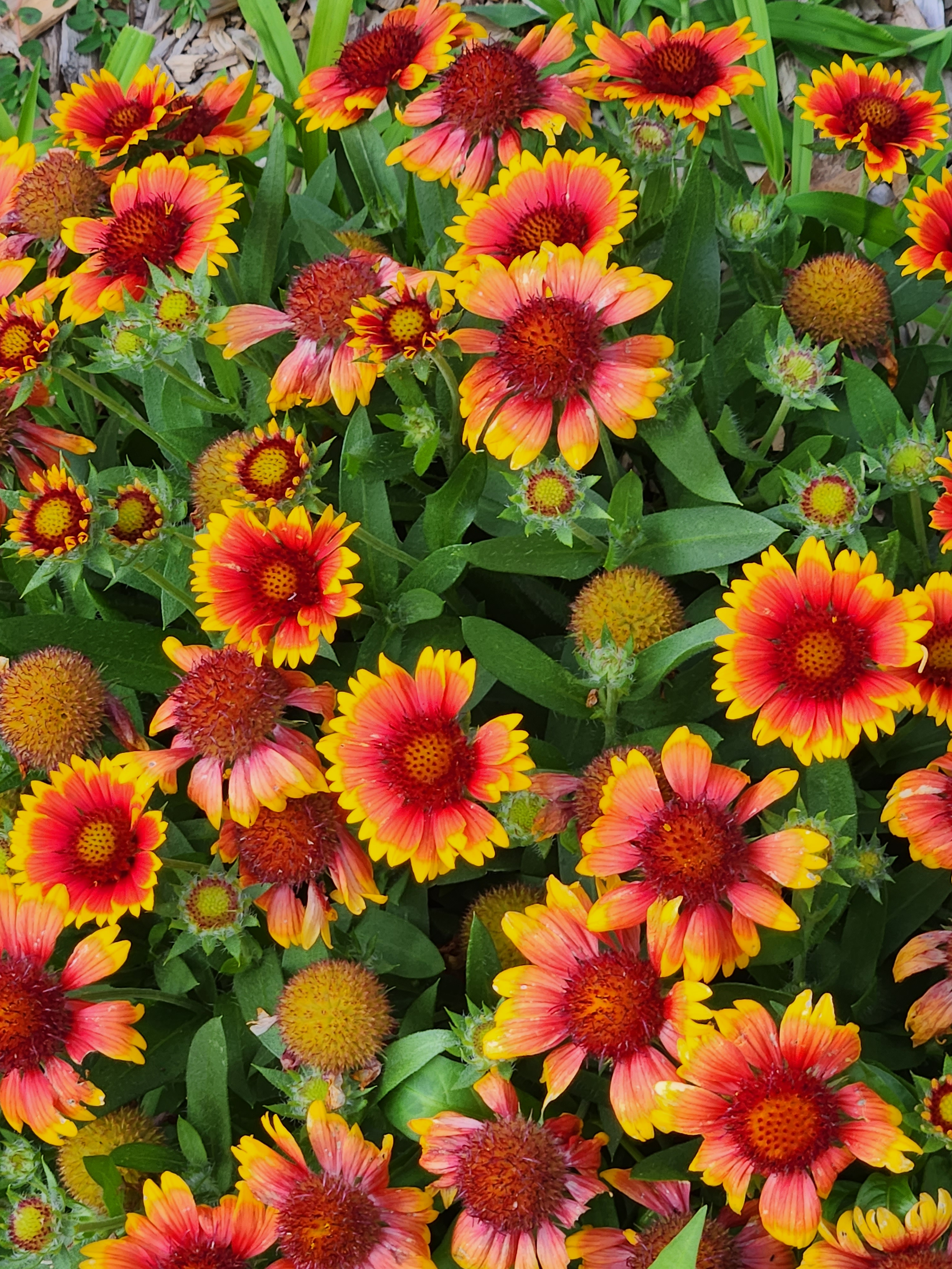 user avatar image for Daymos722 