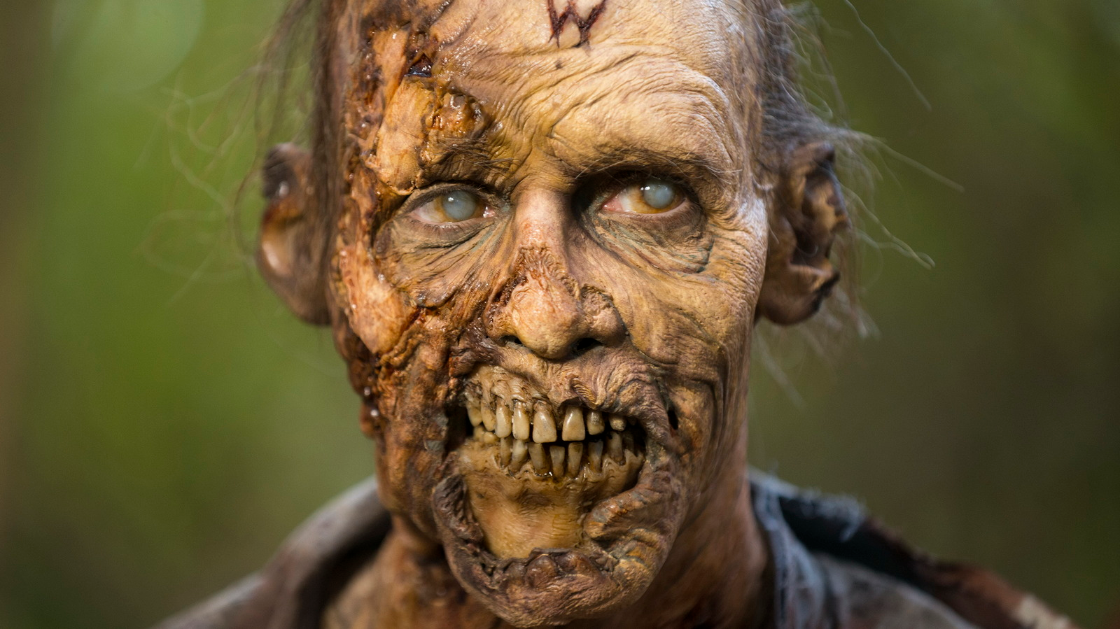 user avatar image for STeVe