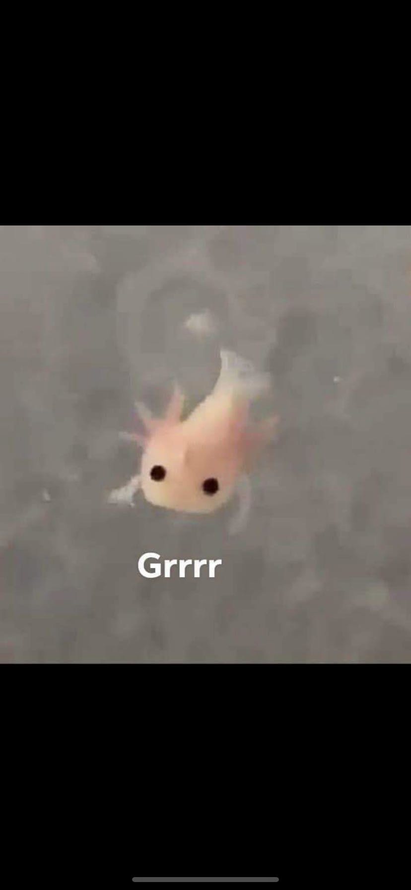 user avatar image for HollowedFish