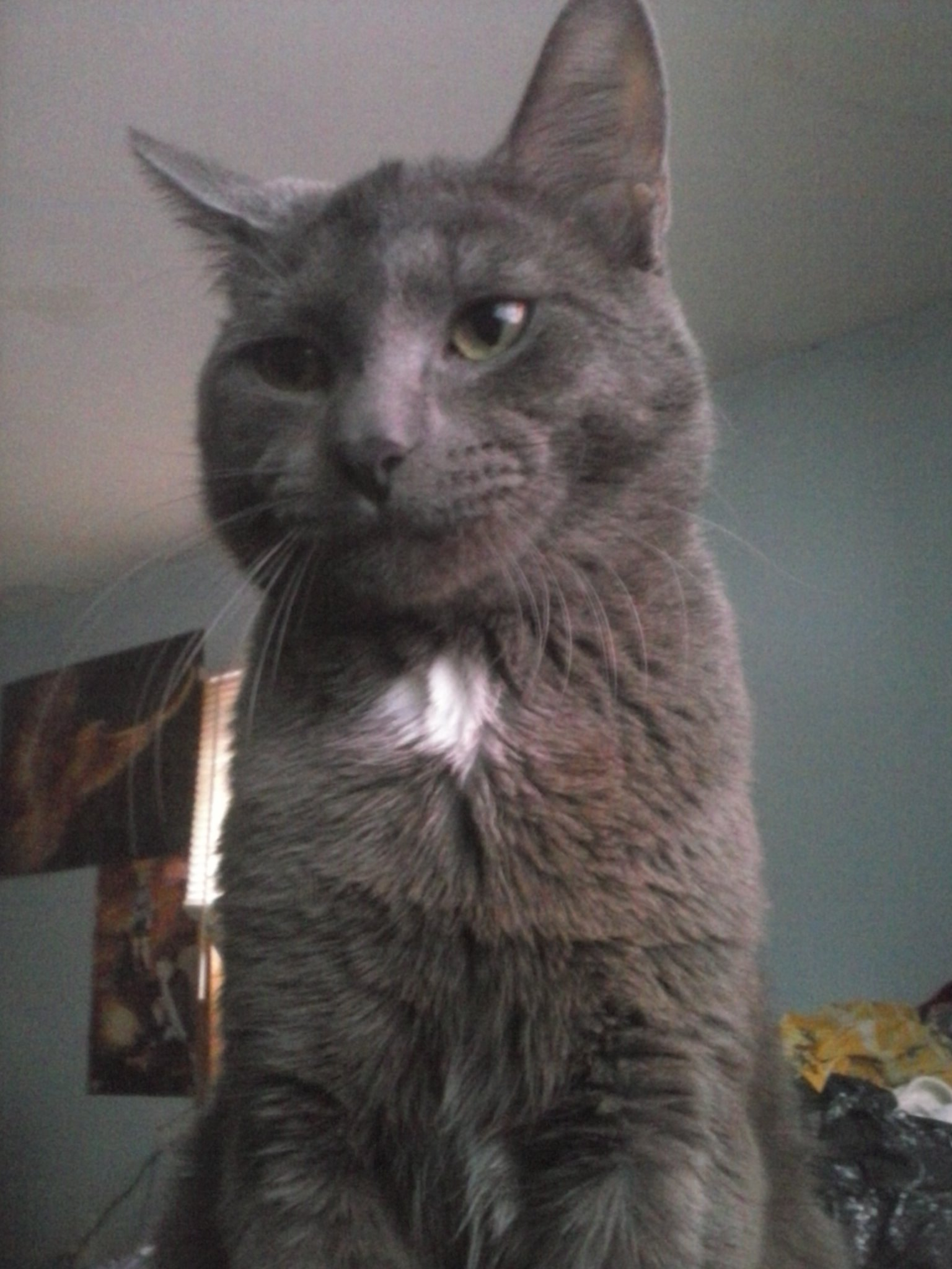 user avatar image for Darking241 