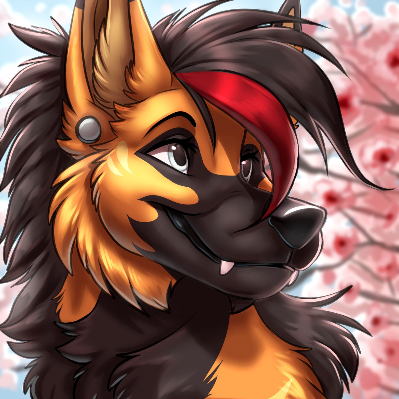 user avatar image for Okami