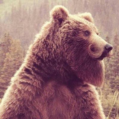 user avatar image for d20Harvey