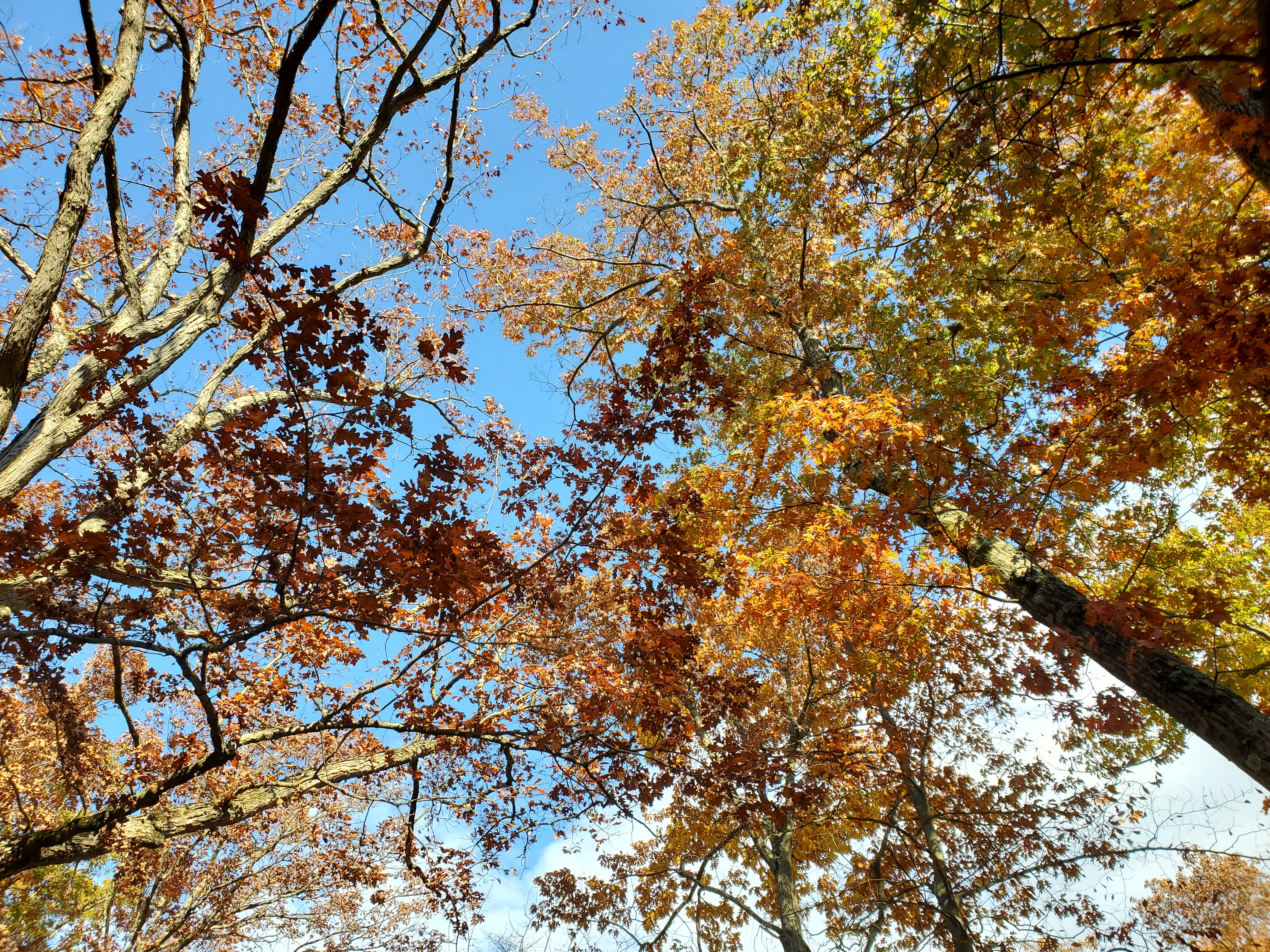 user avatar image for Shankar