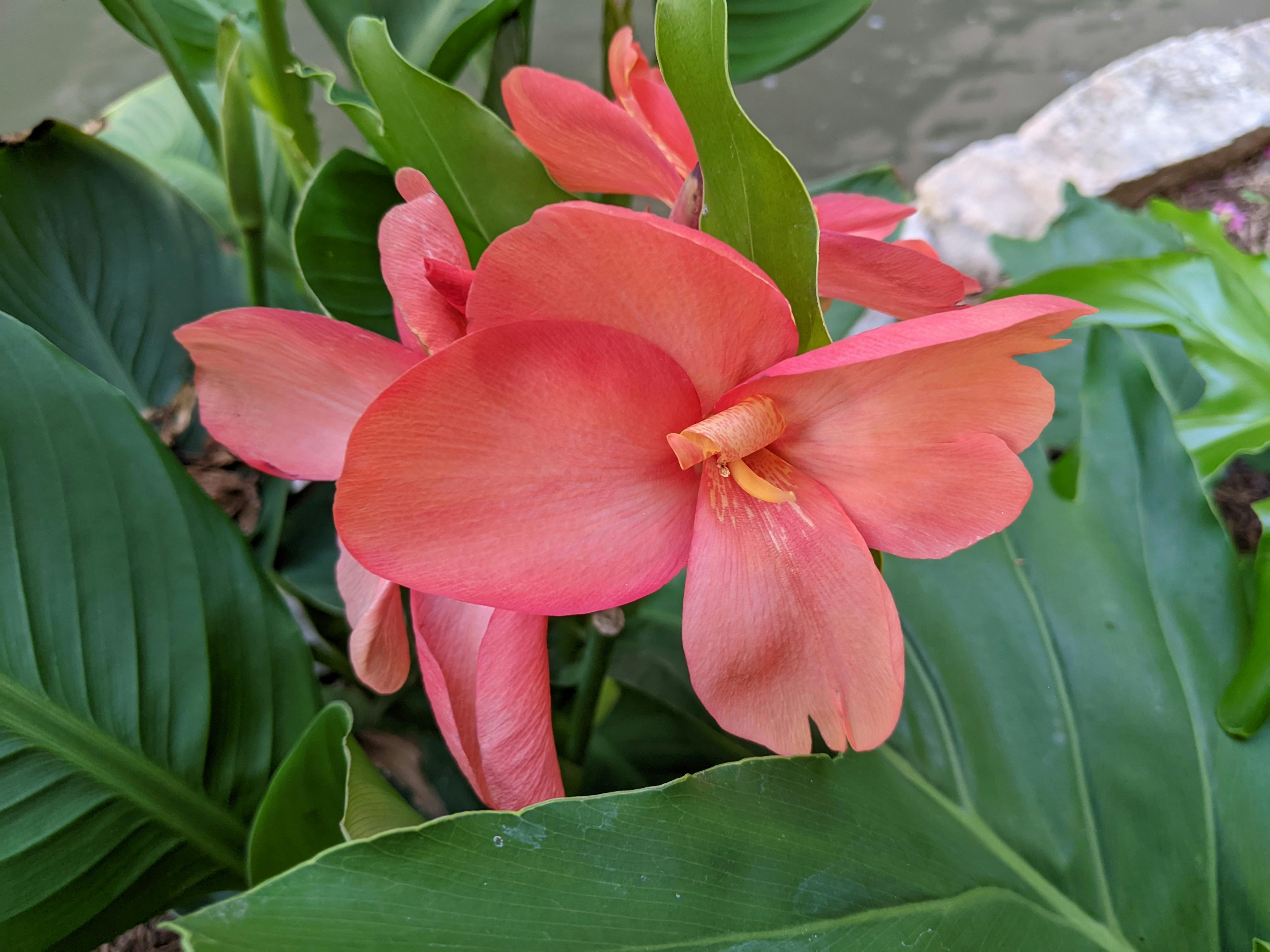 user avatar image for Andrew Derksen 