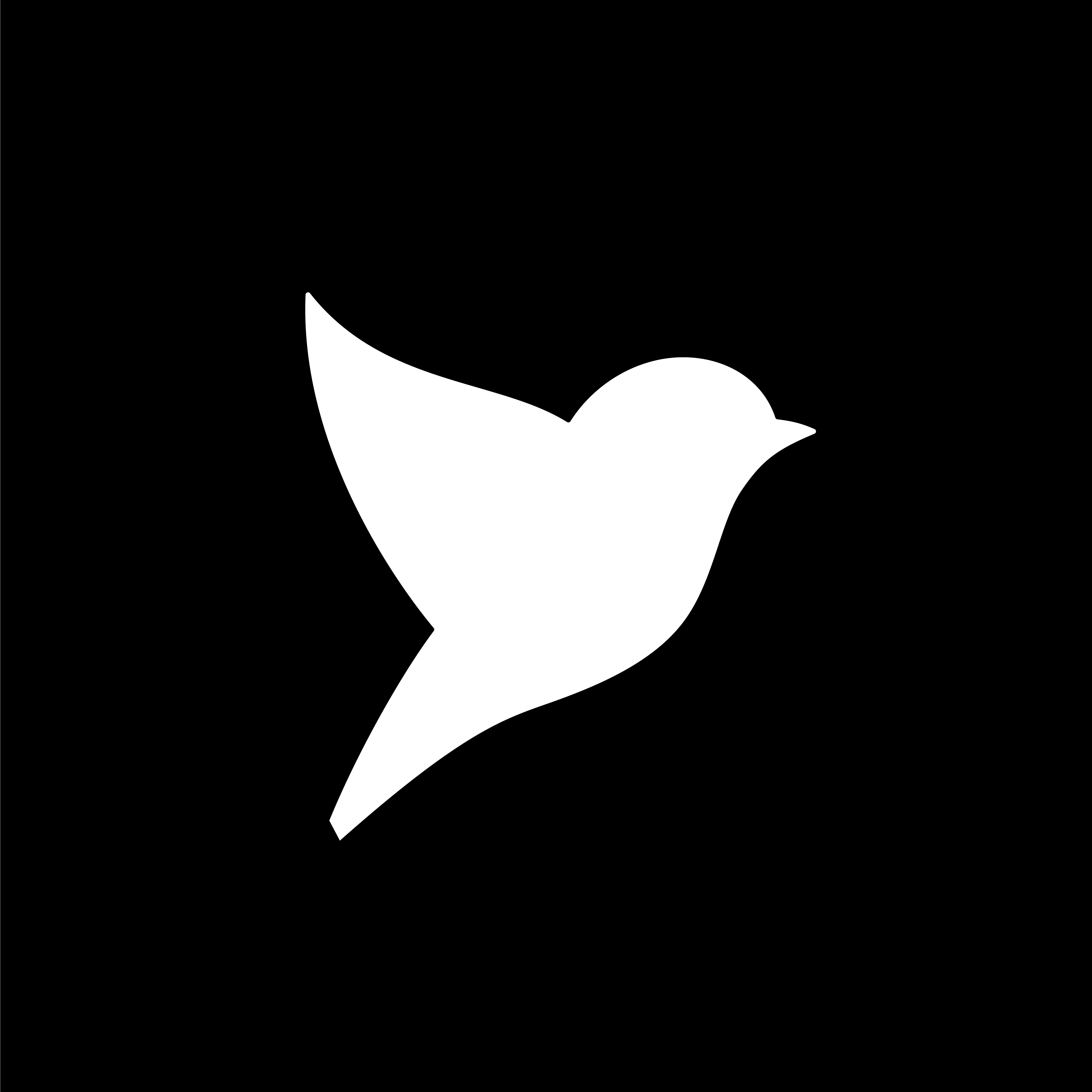 user avatar image for BLACKBIRD Gear