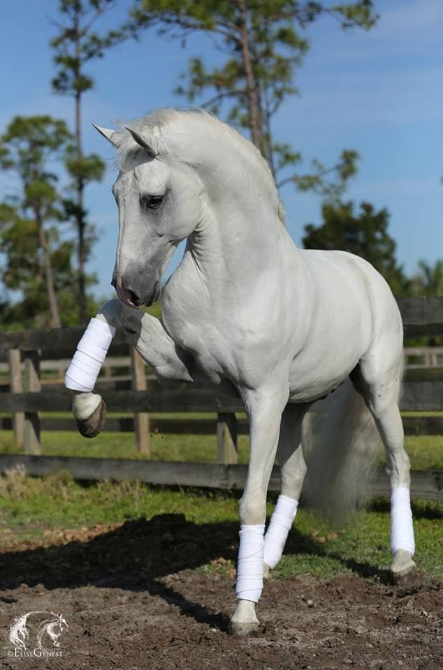 user avatar image for temenos-empath 