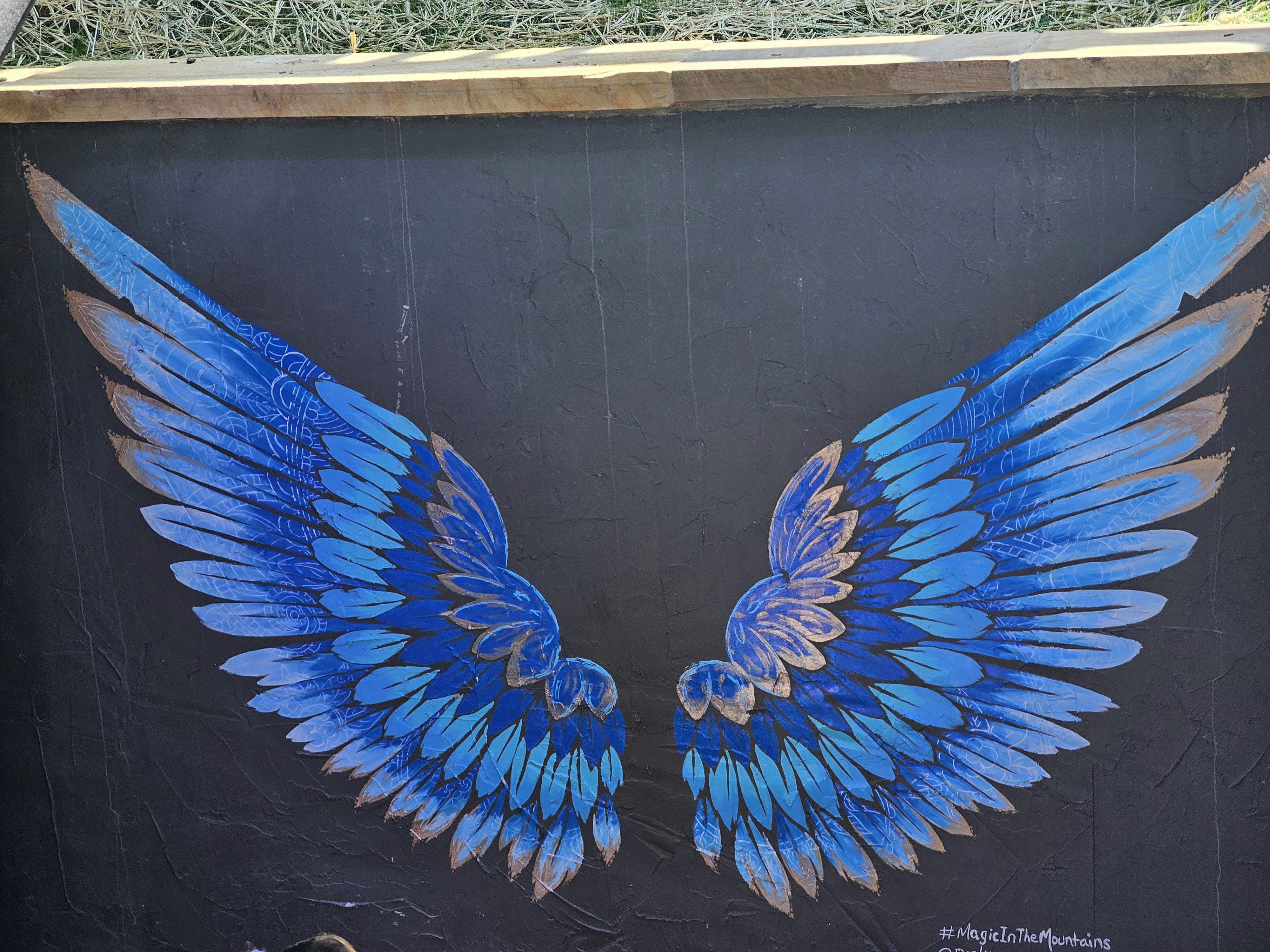 user avatar image for Antoinette Sturniolo