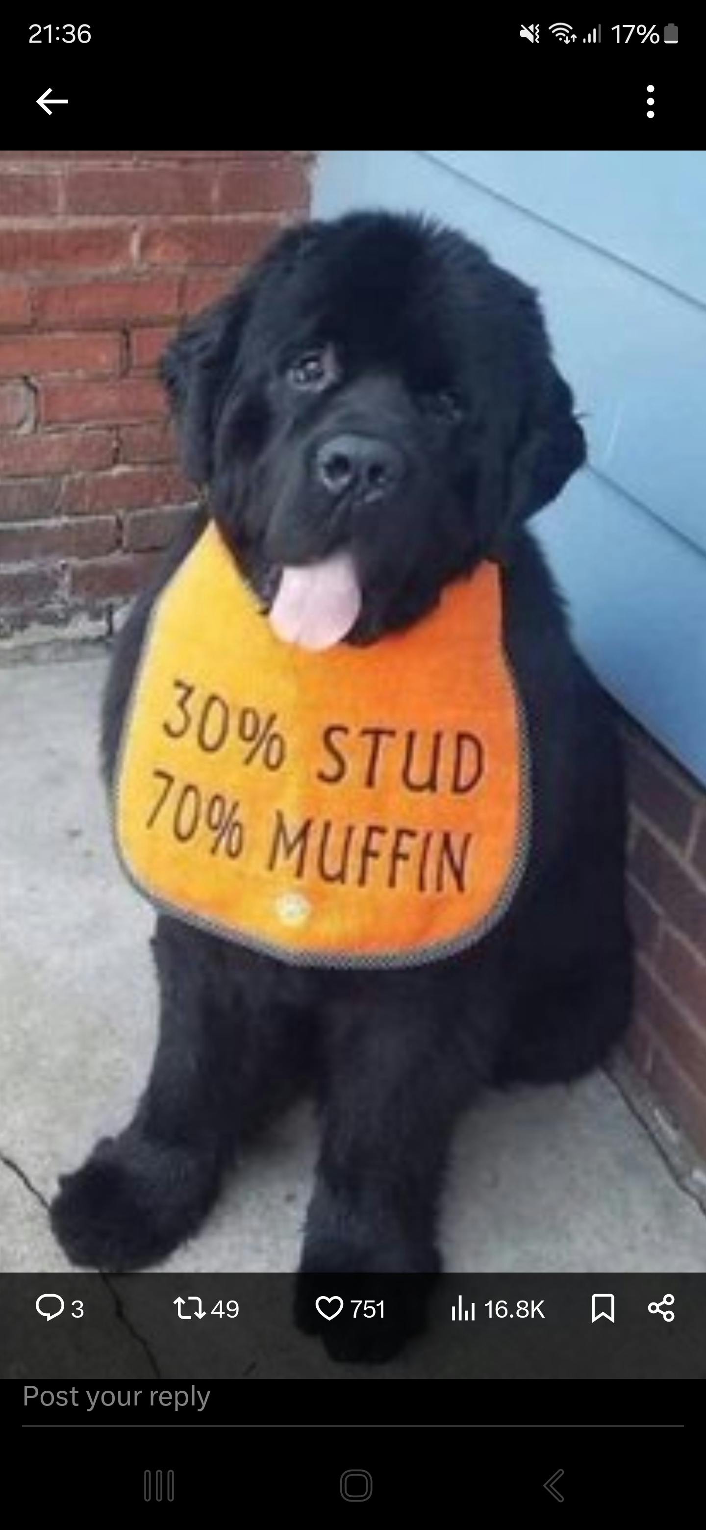 user avatar image for Baz