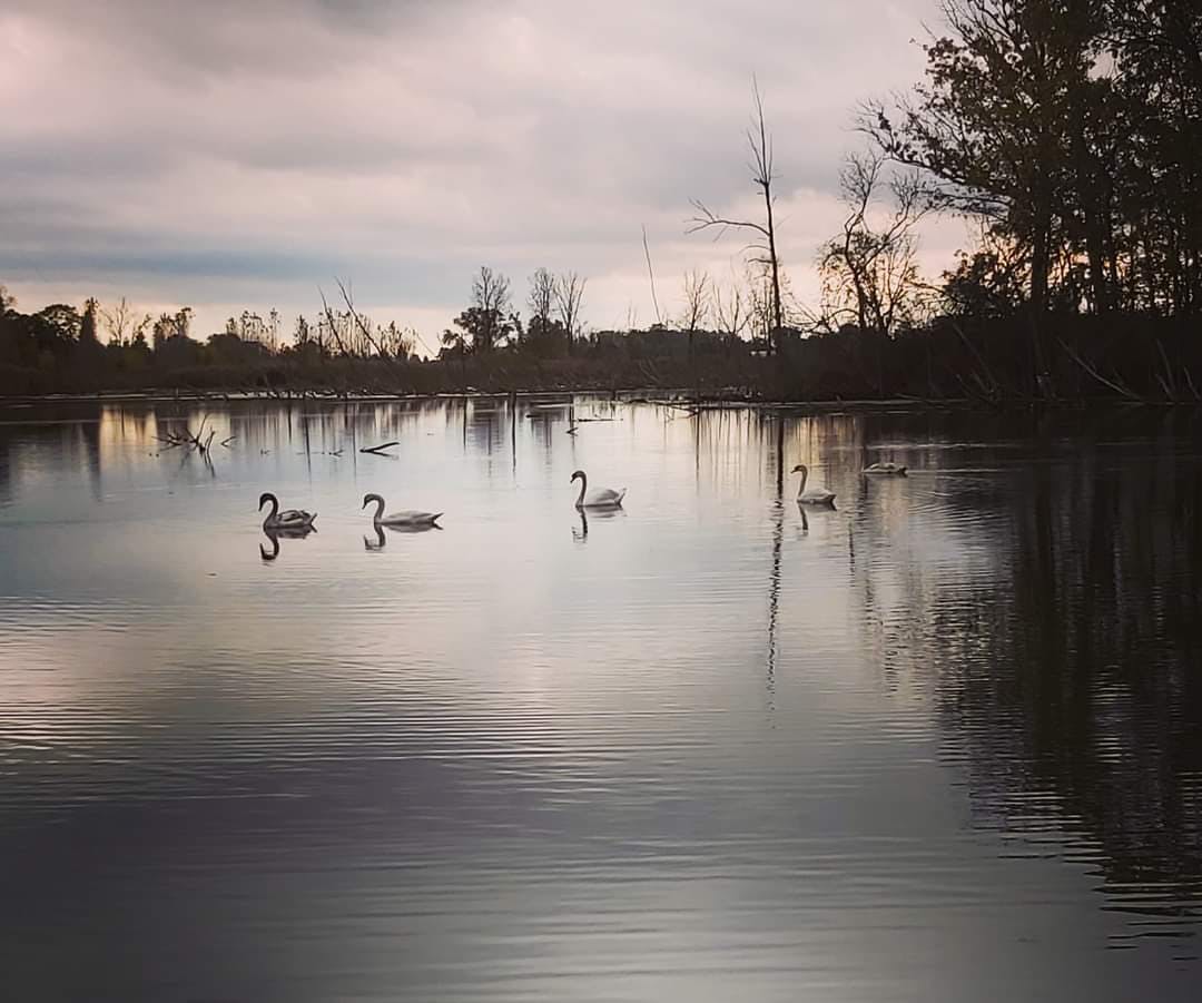 user avatar image for Paul L