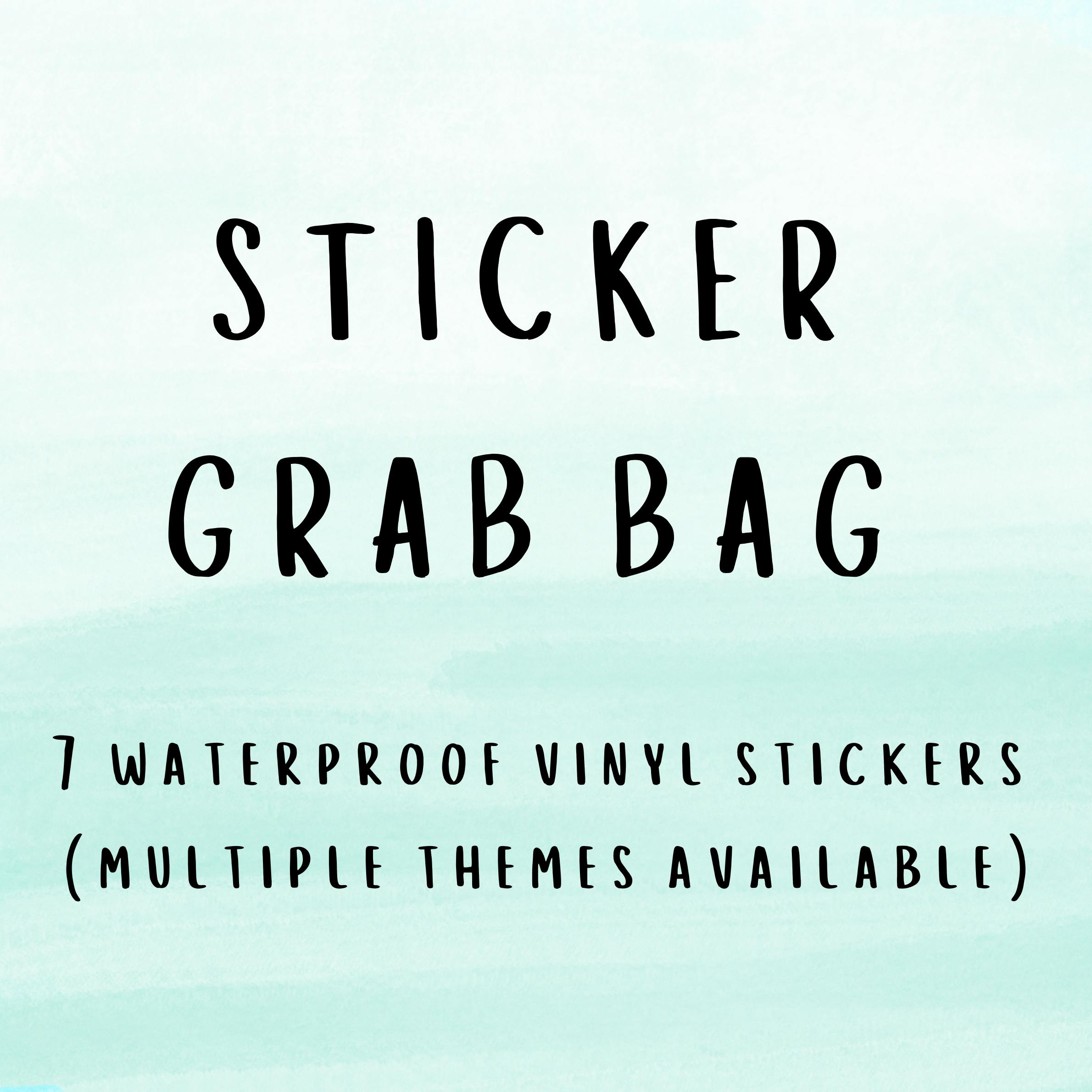 Mystery Sticker Pack (L)