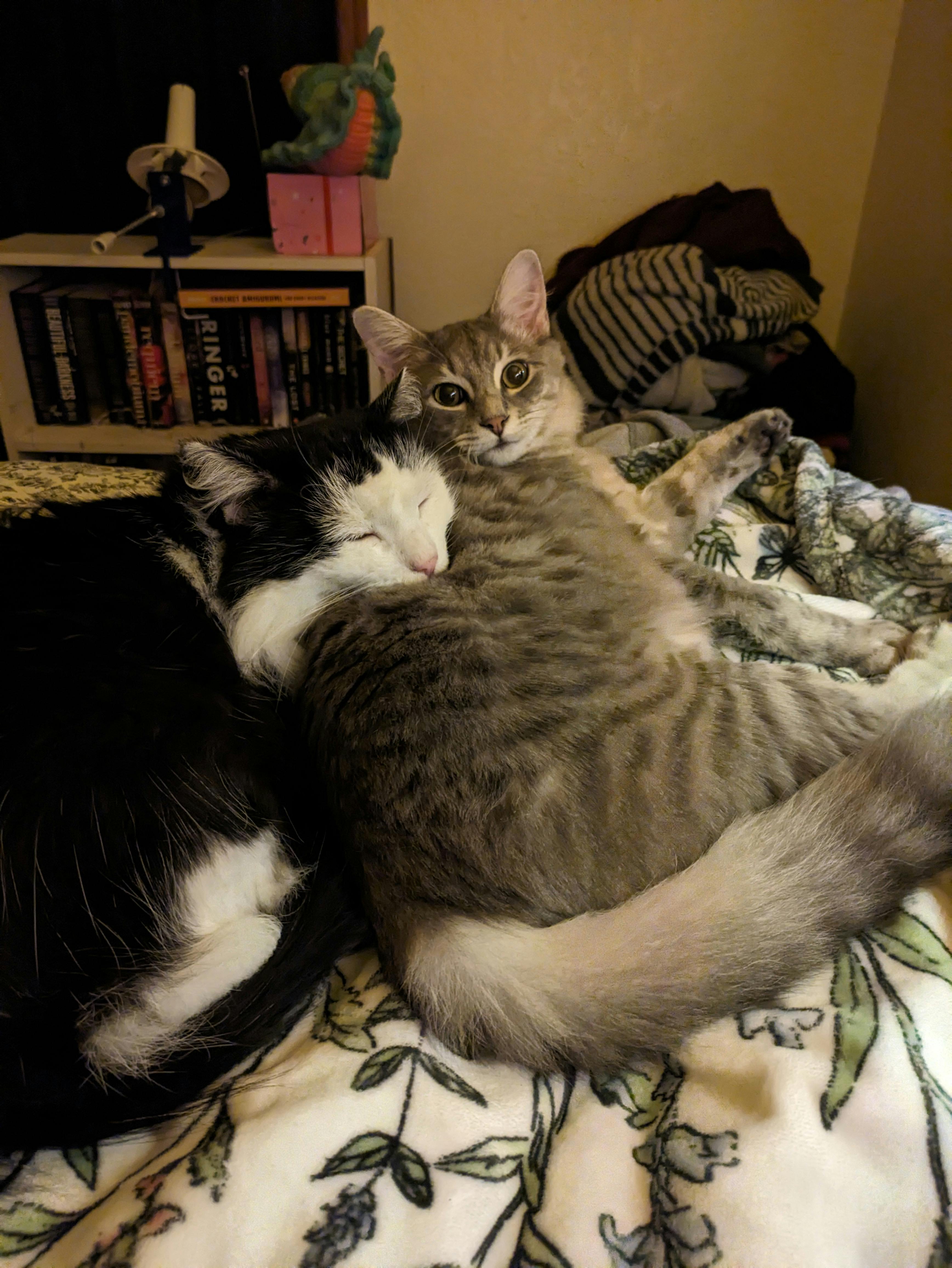 user avatar image for Falicia