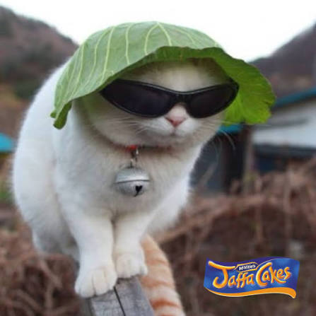 user avatar image for Jack