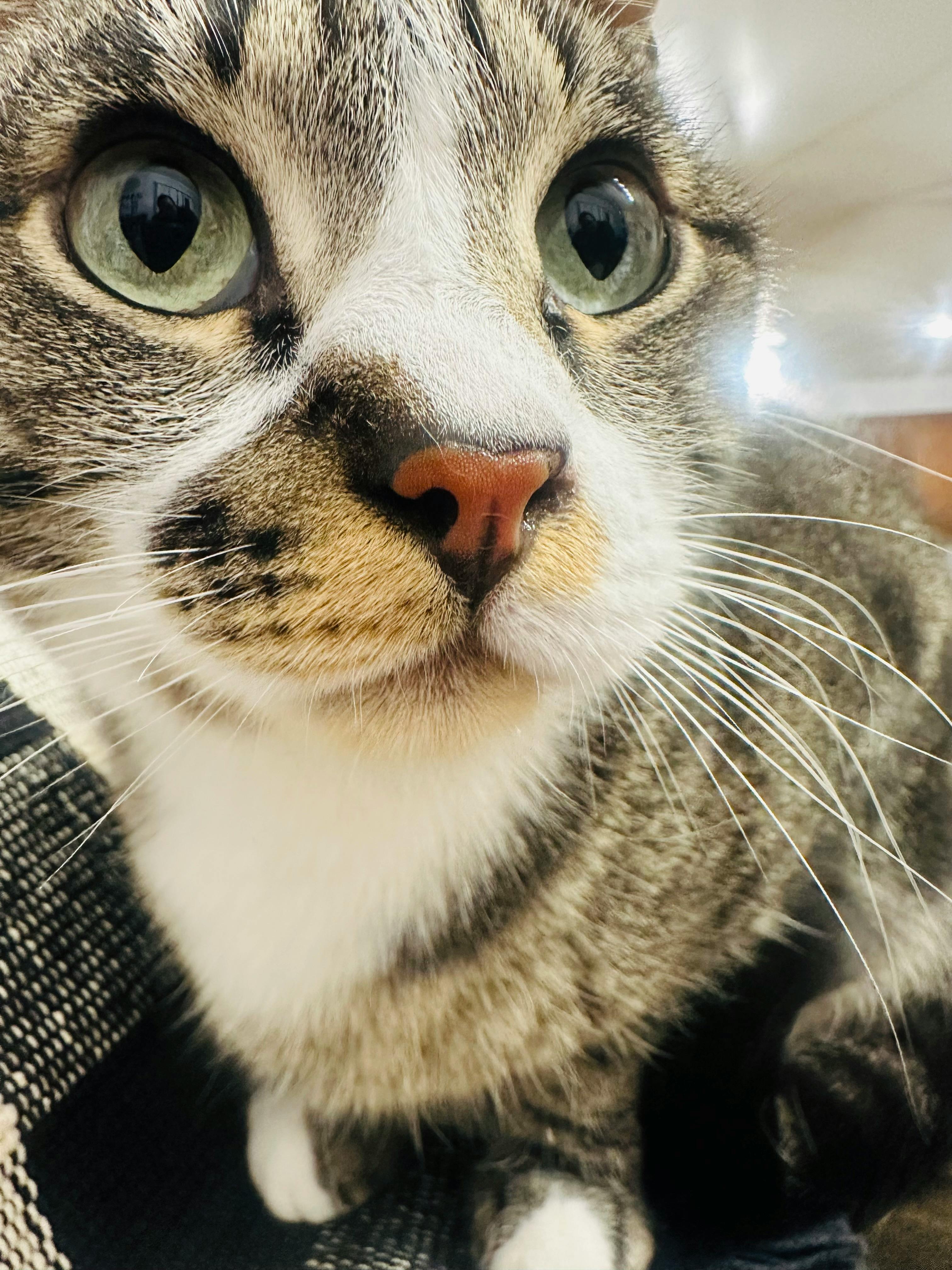 user avatar image for Amber Lessa