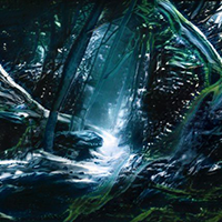 user avatar image for Amancham