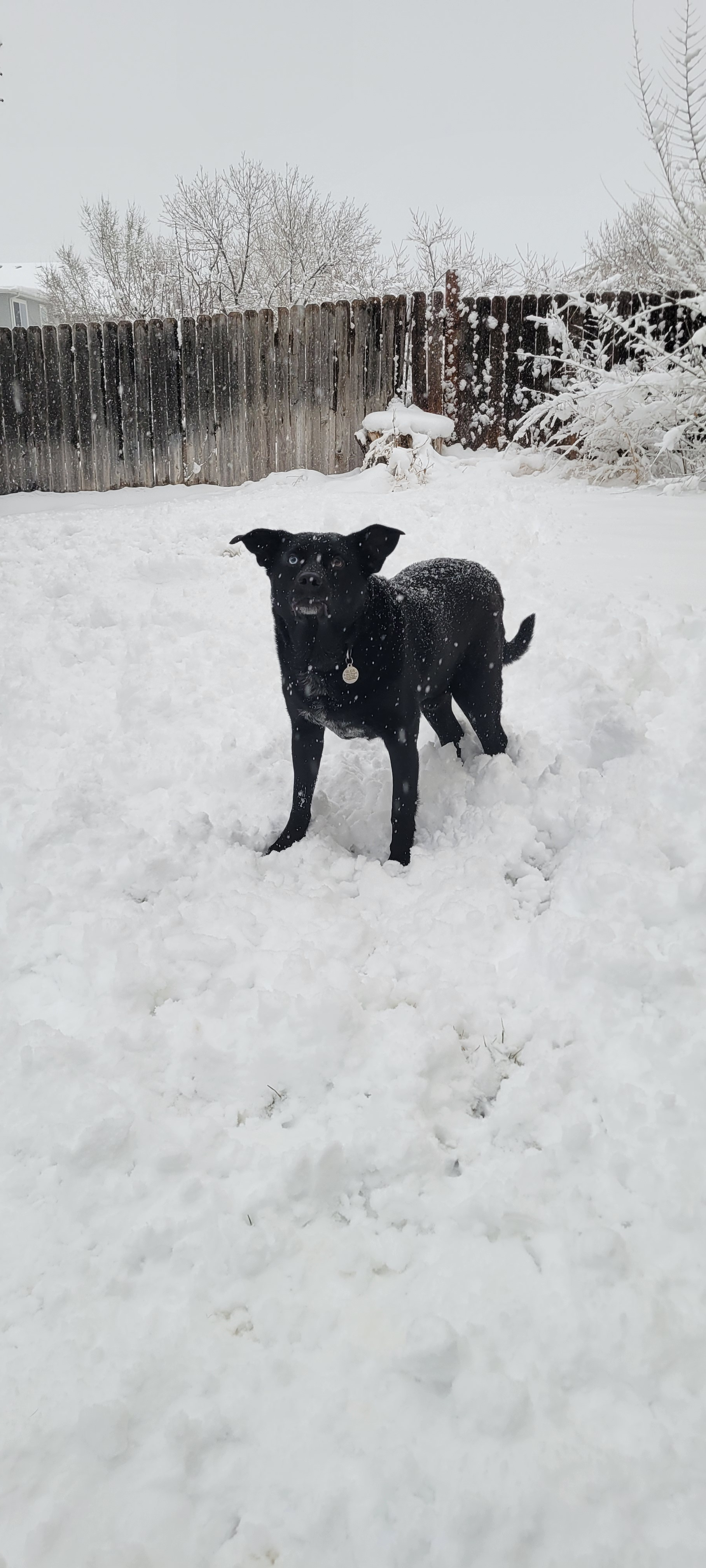 user avatar image for Jakeob Twogood