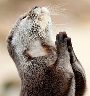 user avatar image for Michael Griffin