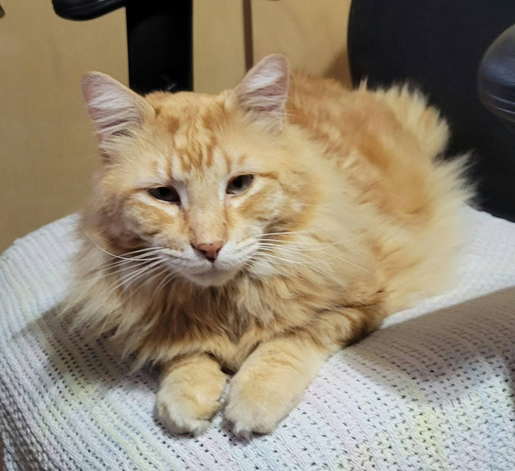 user avatar image for Alan