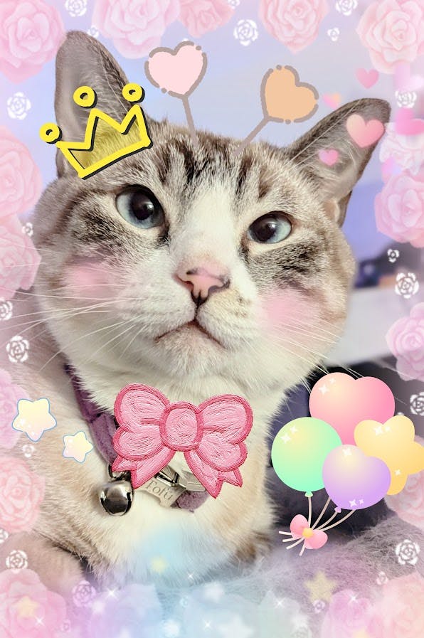 user avatar image for Pookles