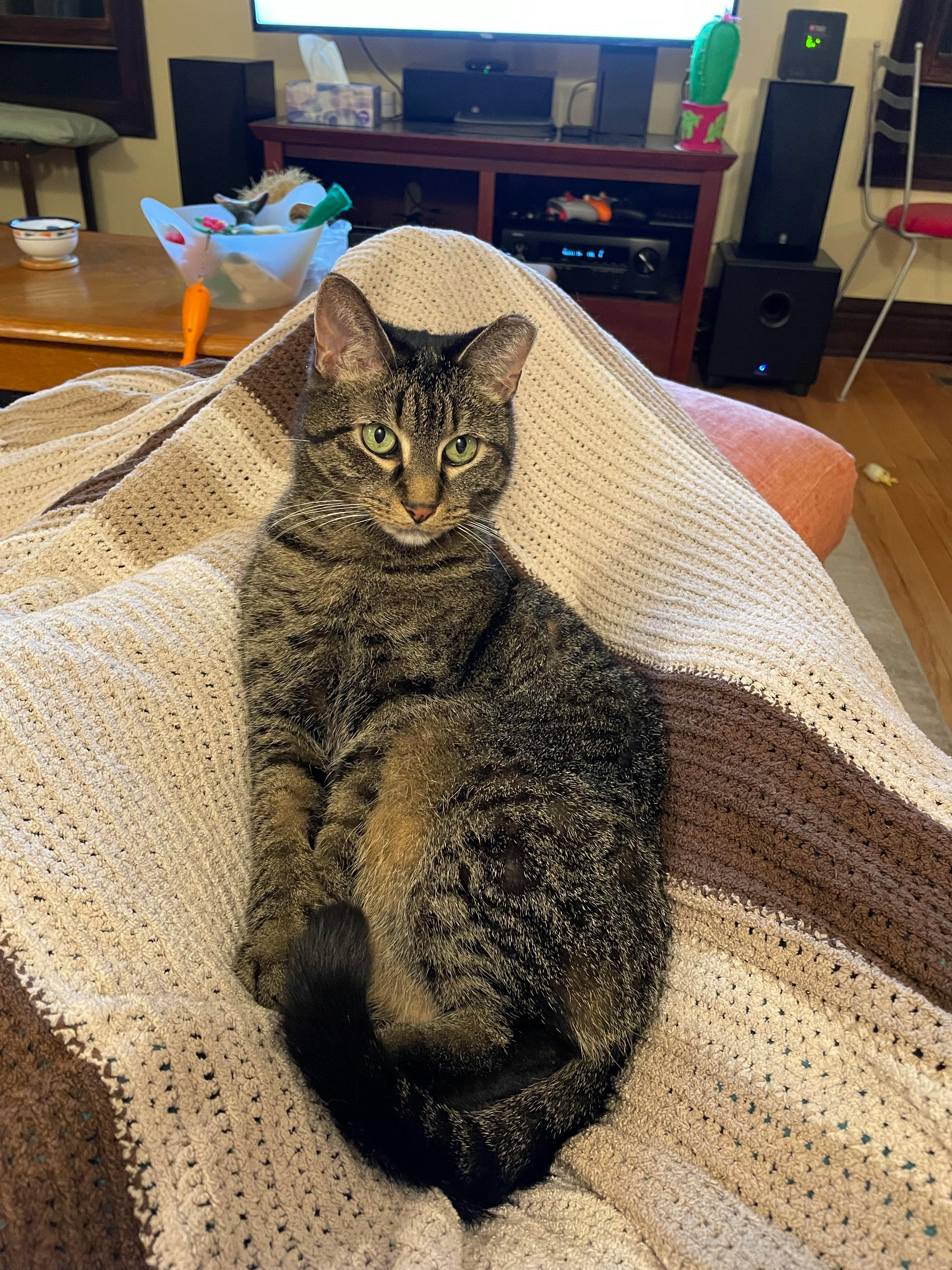 user avatar image for Worldturtle