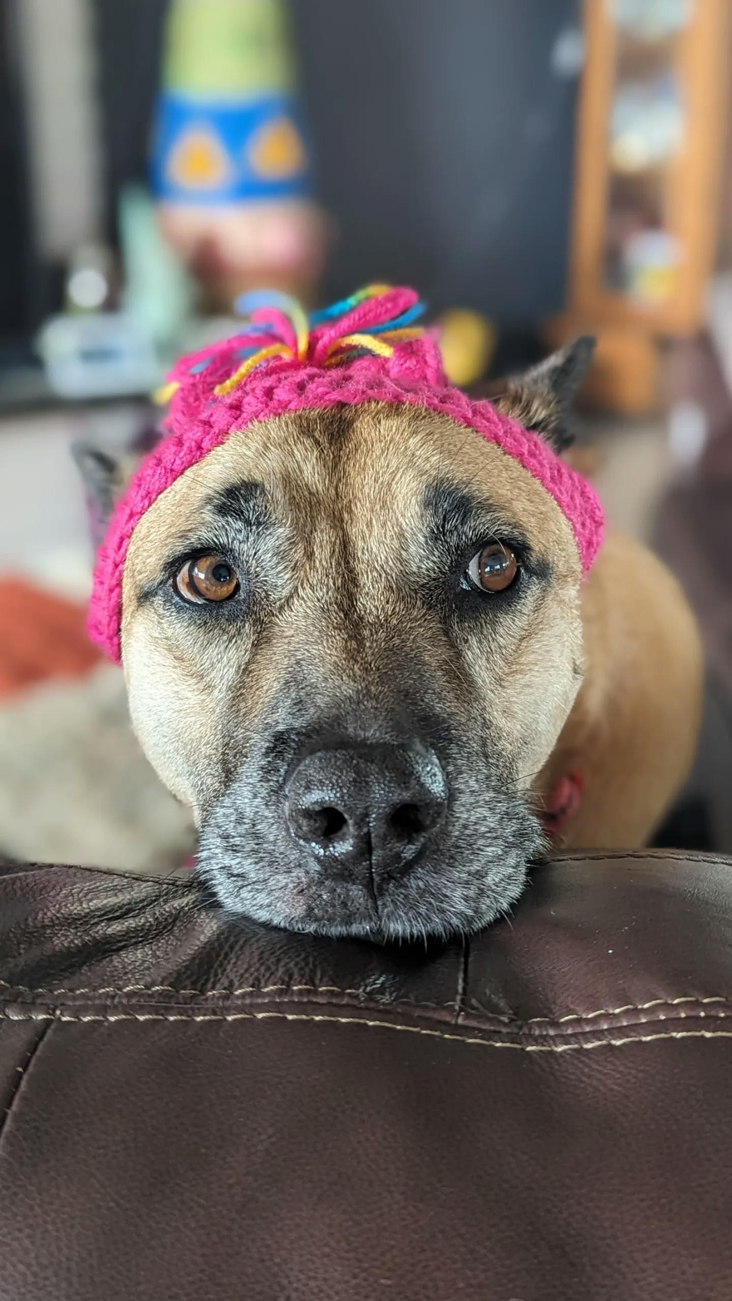 user avatar image for Mandy jouan