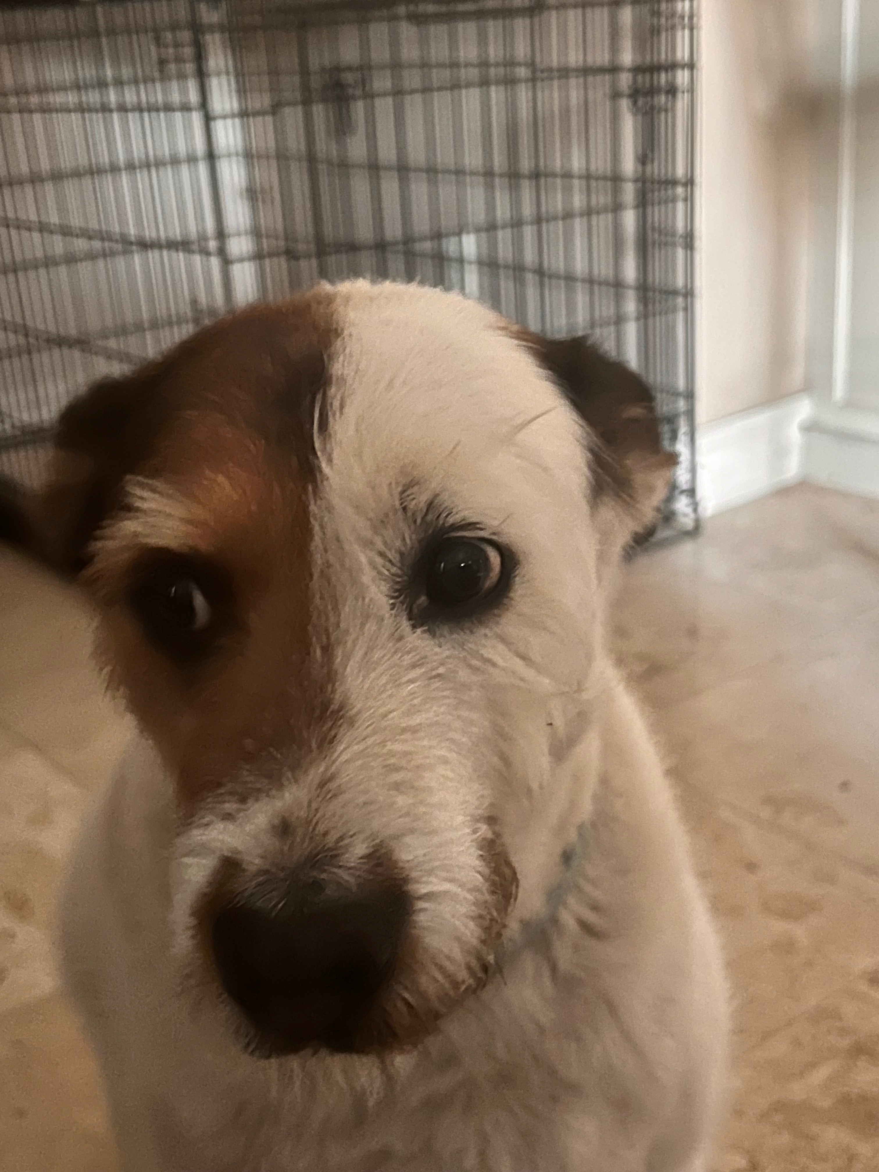 user avatar image for Drazerii