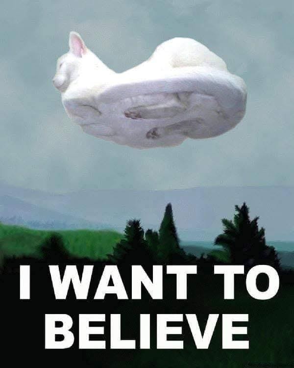 user avatar image for InsomniacOni