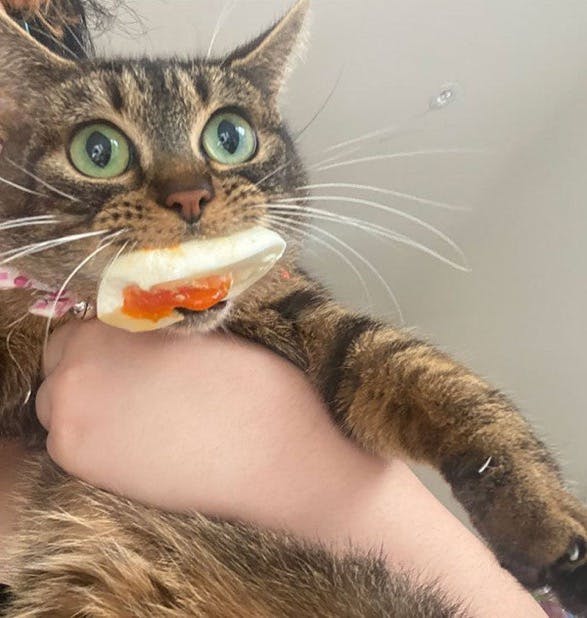 user avatar image for Johanne