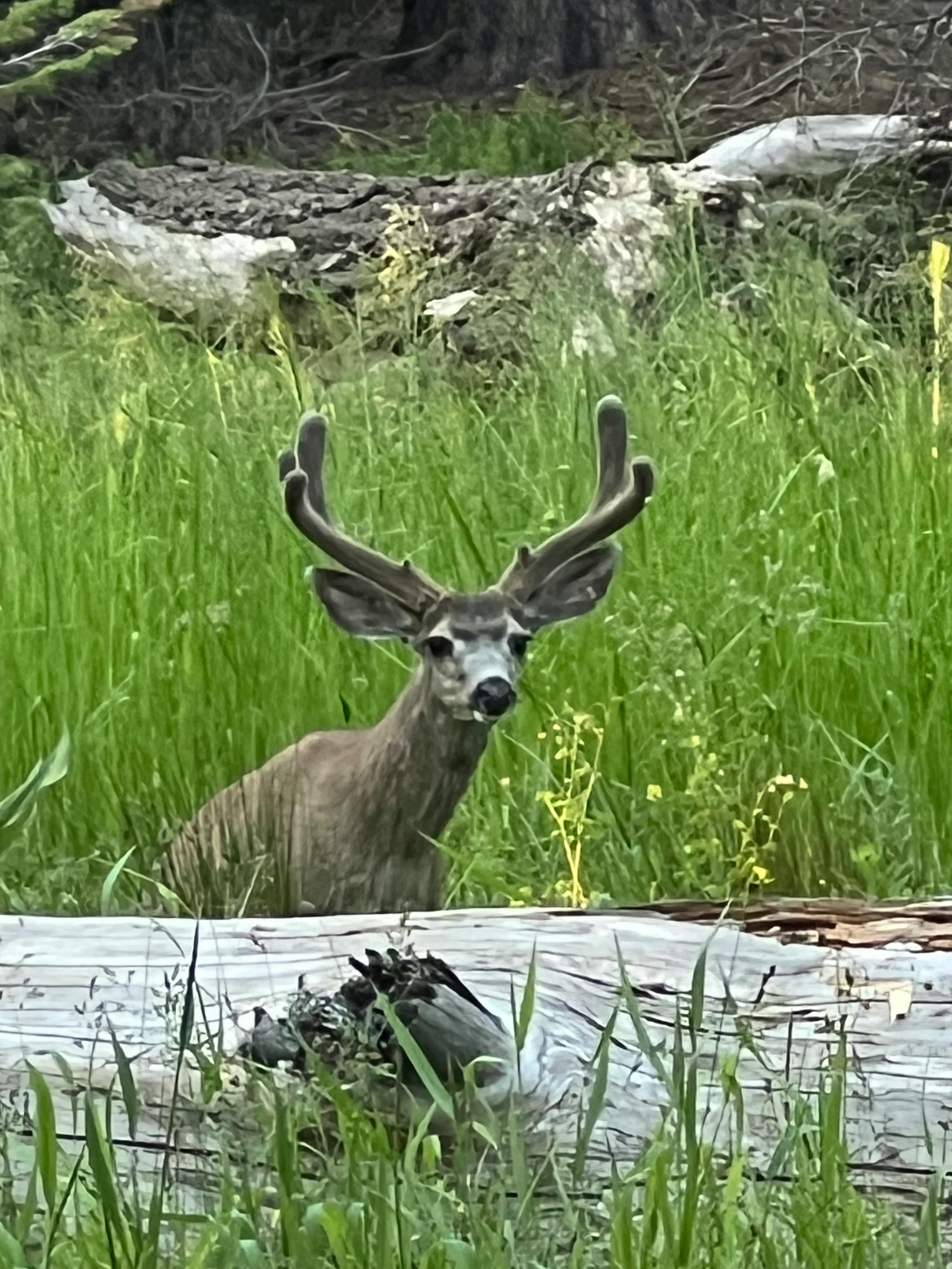 user avatar image for Gearfreak