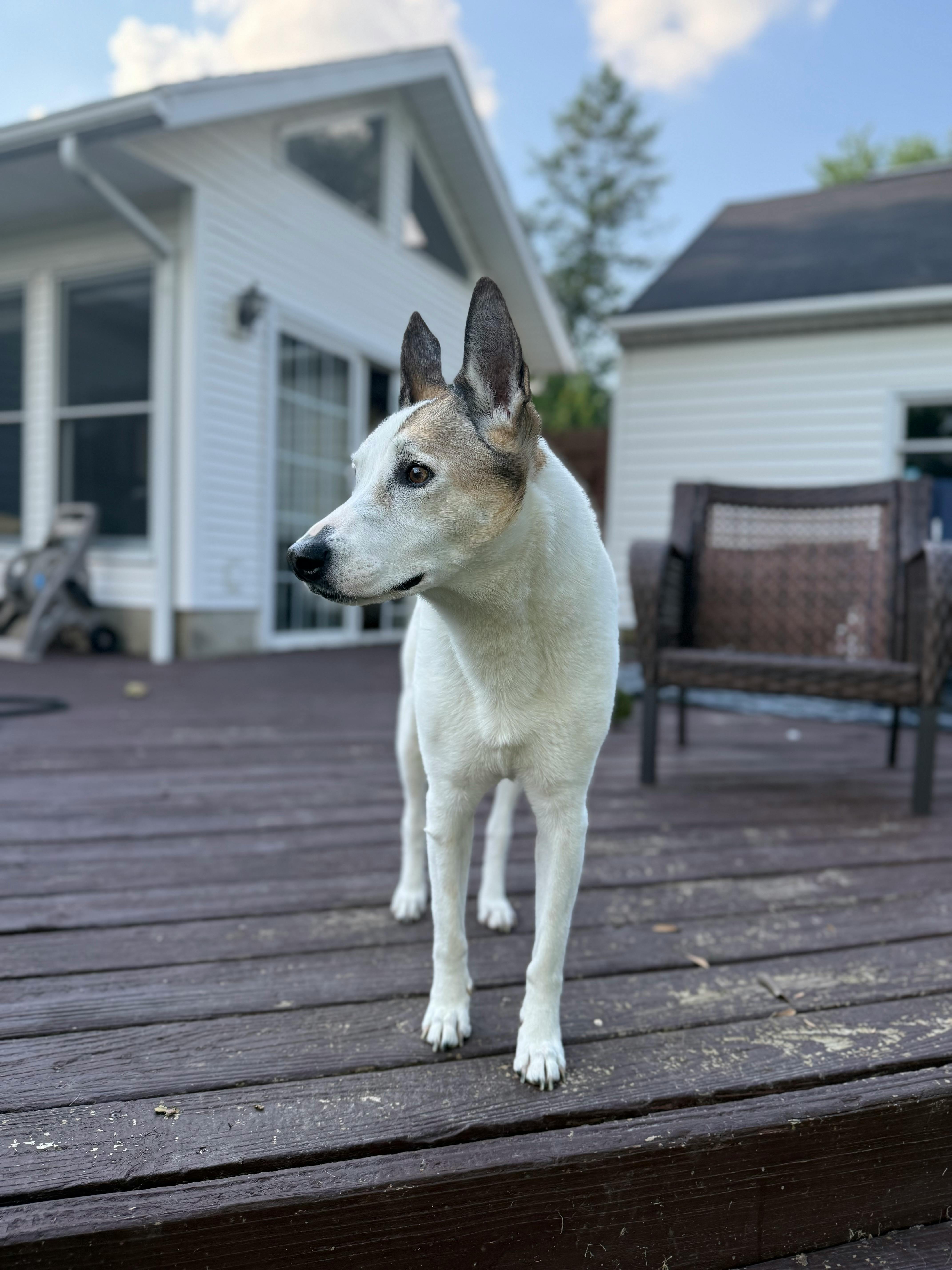 user avatar image for iamveep