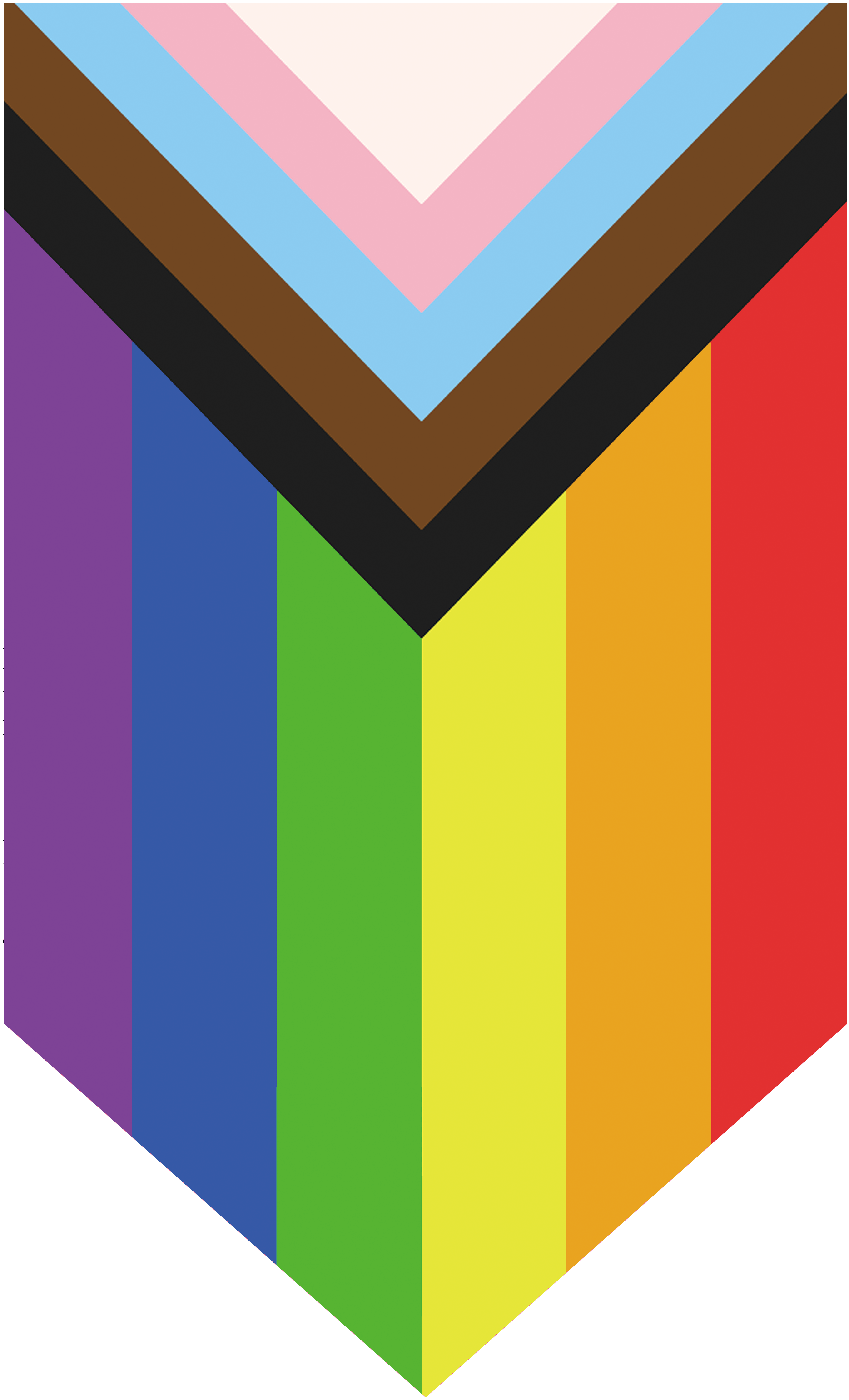 Progress Pride Pin Banner