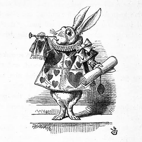 user avatar image for Alice