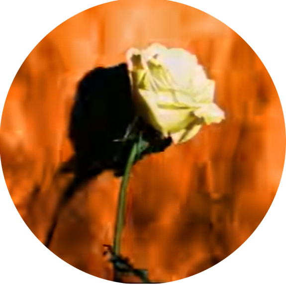 user avatar image for Ci1ia