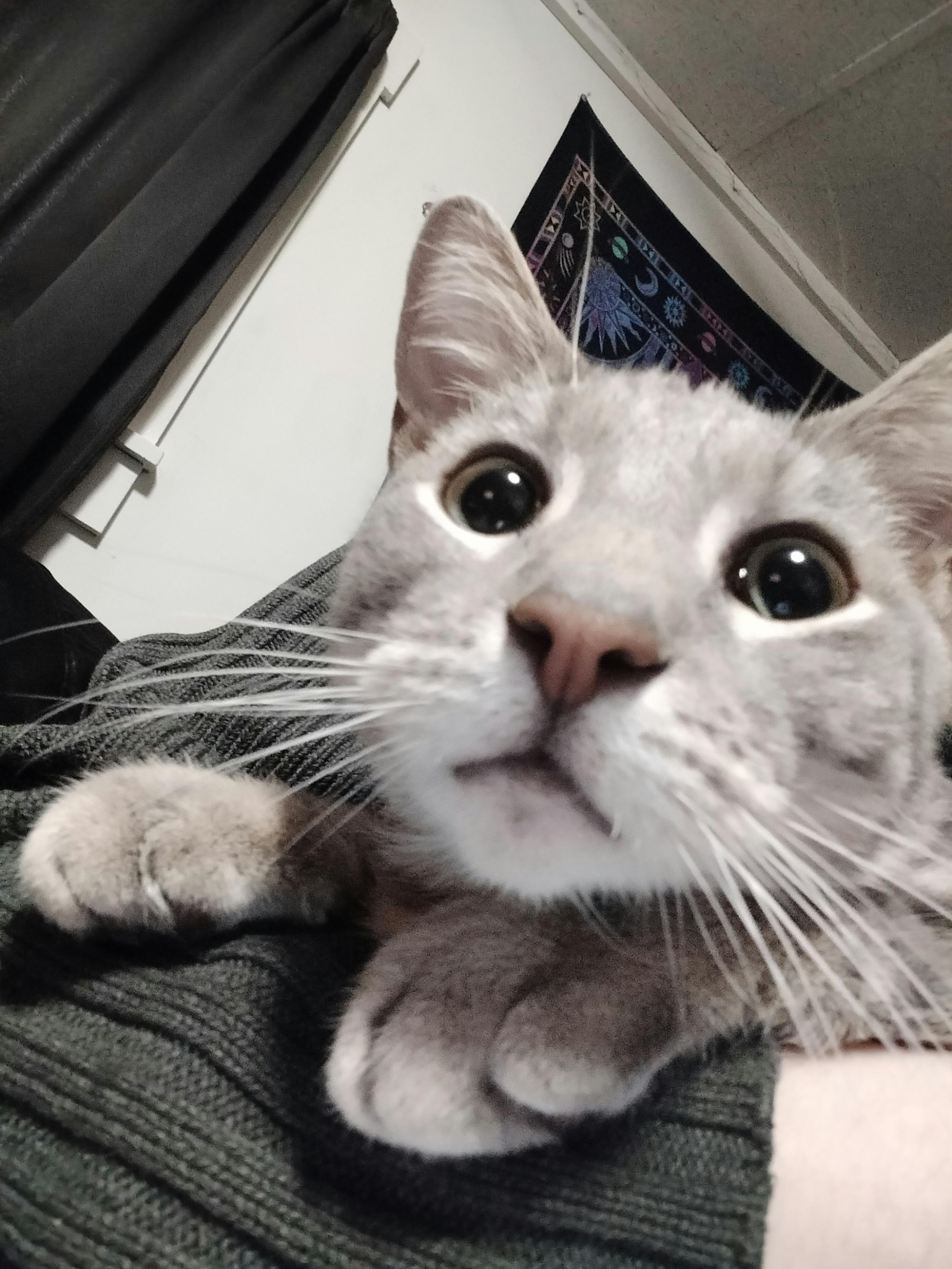 user avatar image for Skye