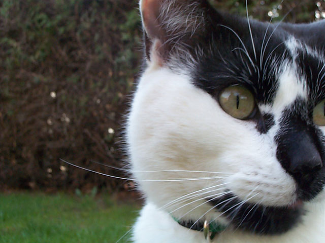 user avatar image for Simon