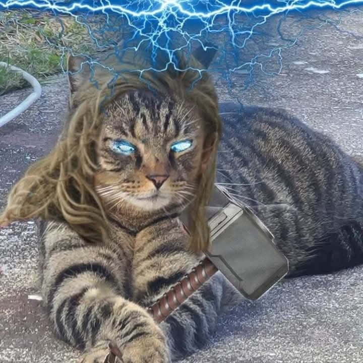 user avatar image for Noobmaster