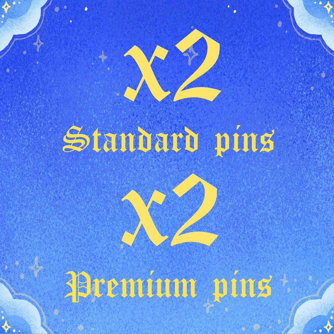x2 Standard / x2 Premium Pins