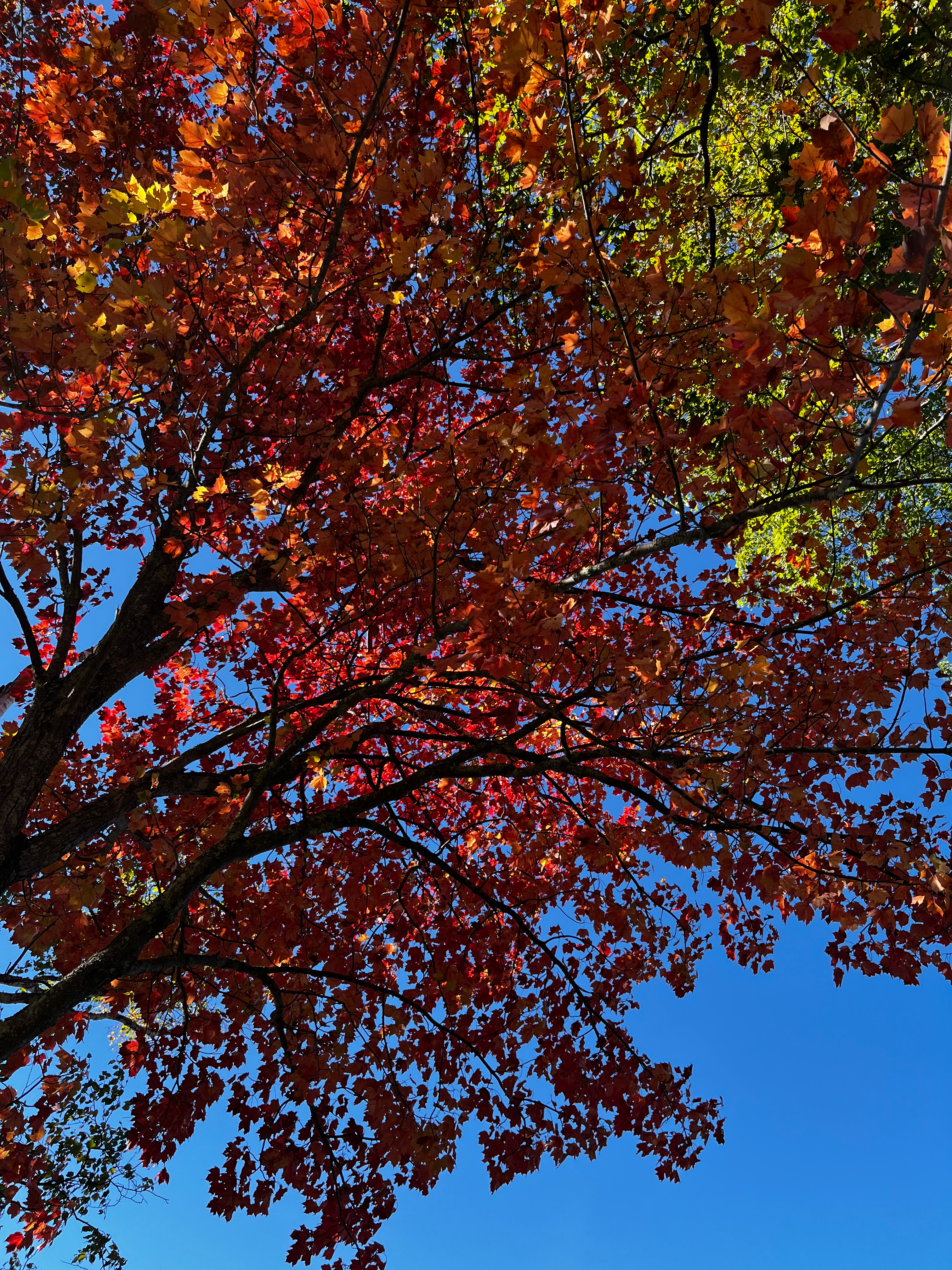 user avatar image for Alan Whittemore